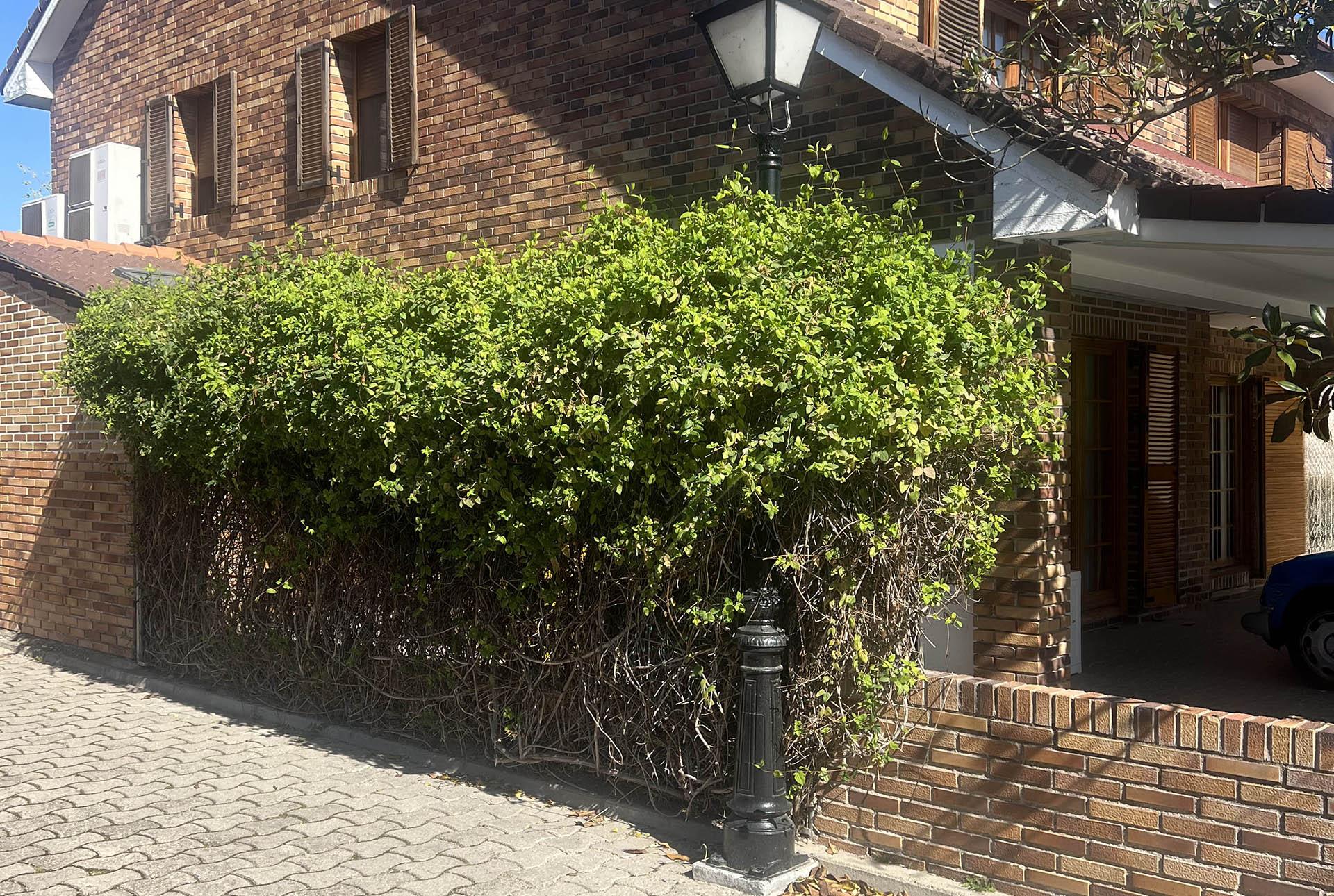 Imagen 4 de la propiedad