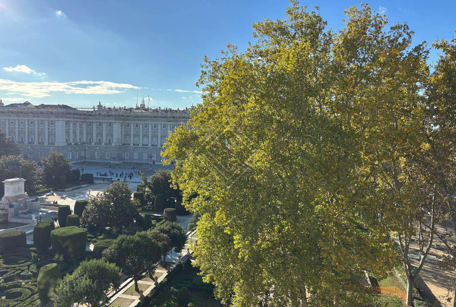 Imagen 7 de la propiedad