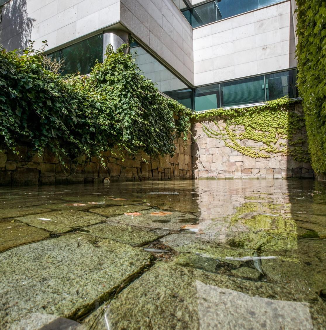 Imagen 4 de la propiedad