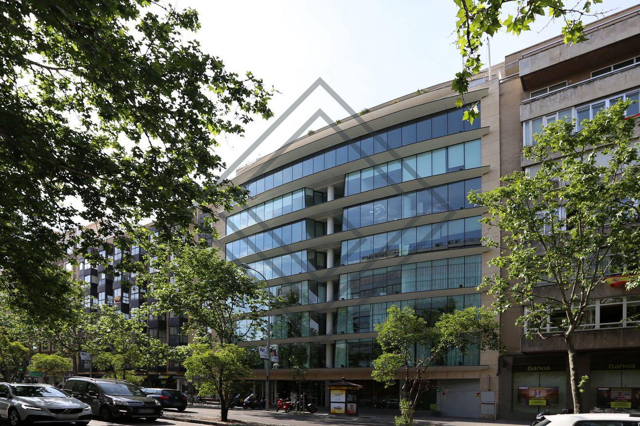 Imagen 10 de la propiedad