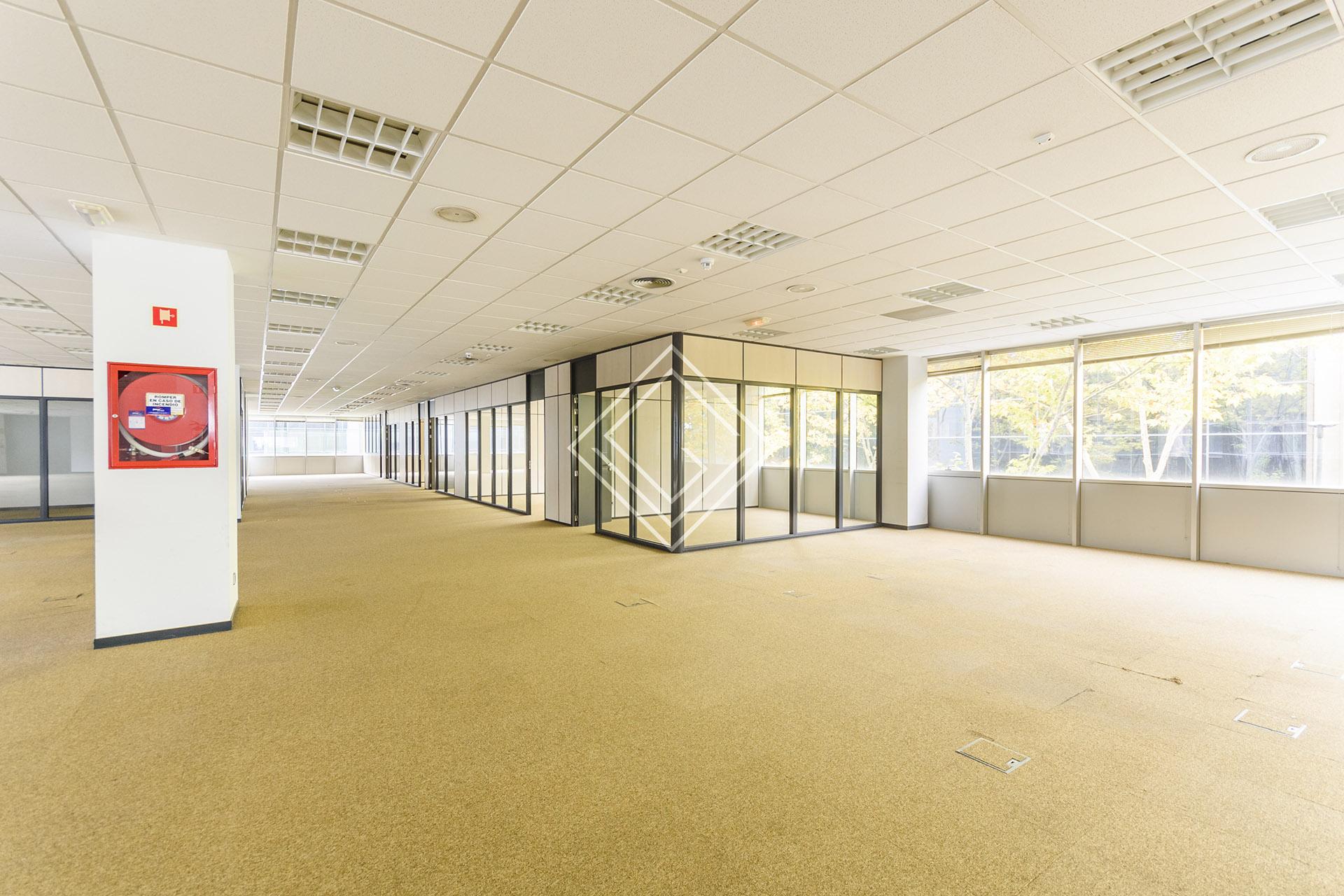 Imagen 31 de la propiedad