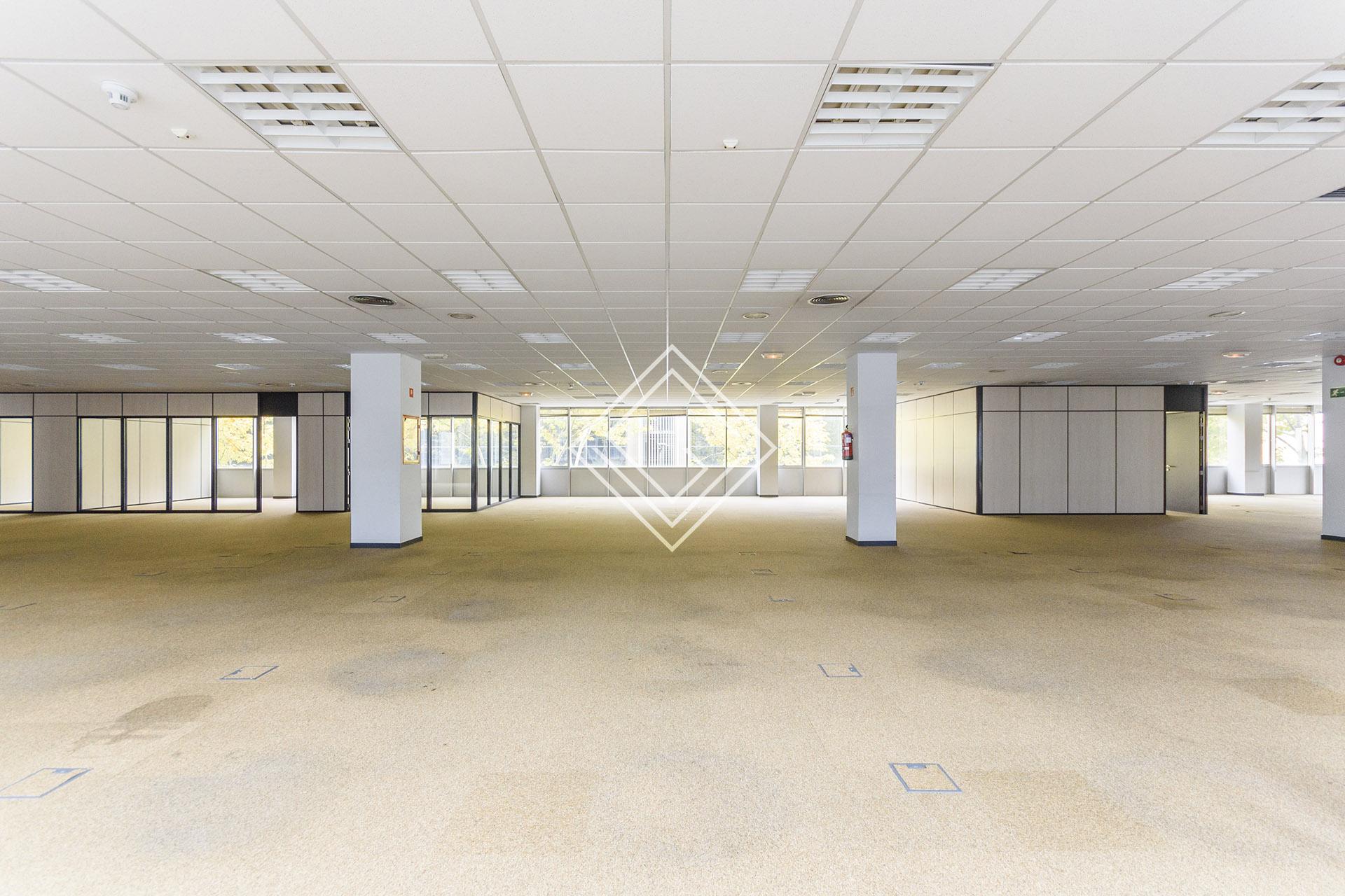 Imagen 30 de la propiedad