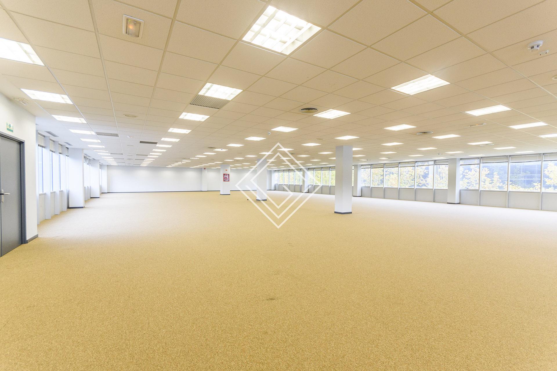 Imagen 32 de la propiedad