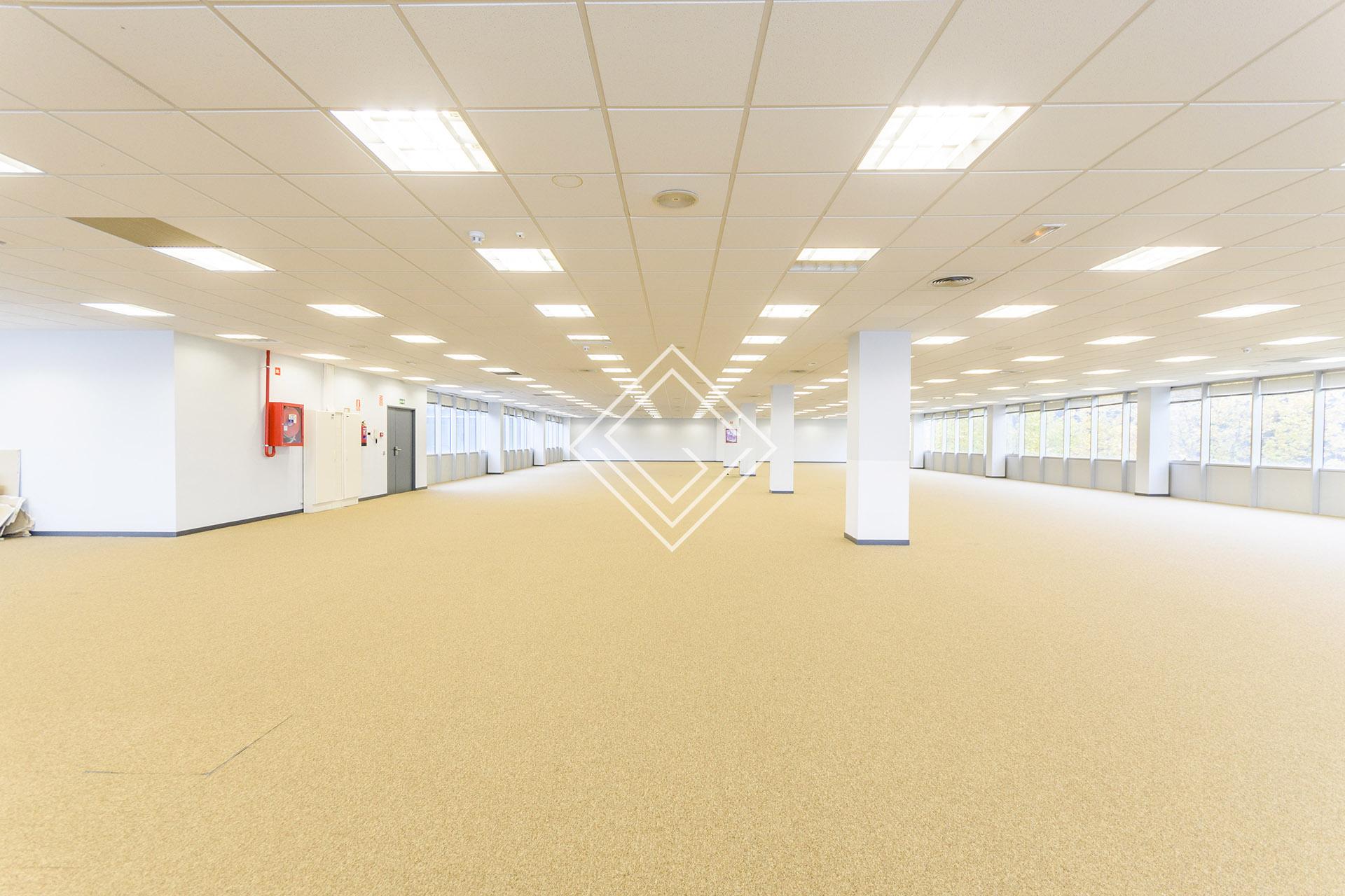 Imagen 34 de la propiedad