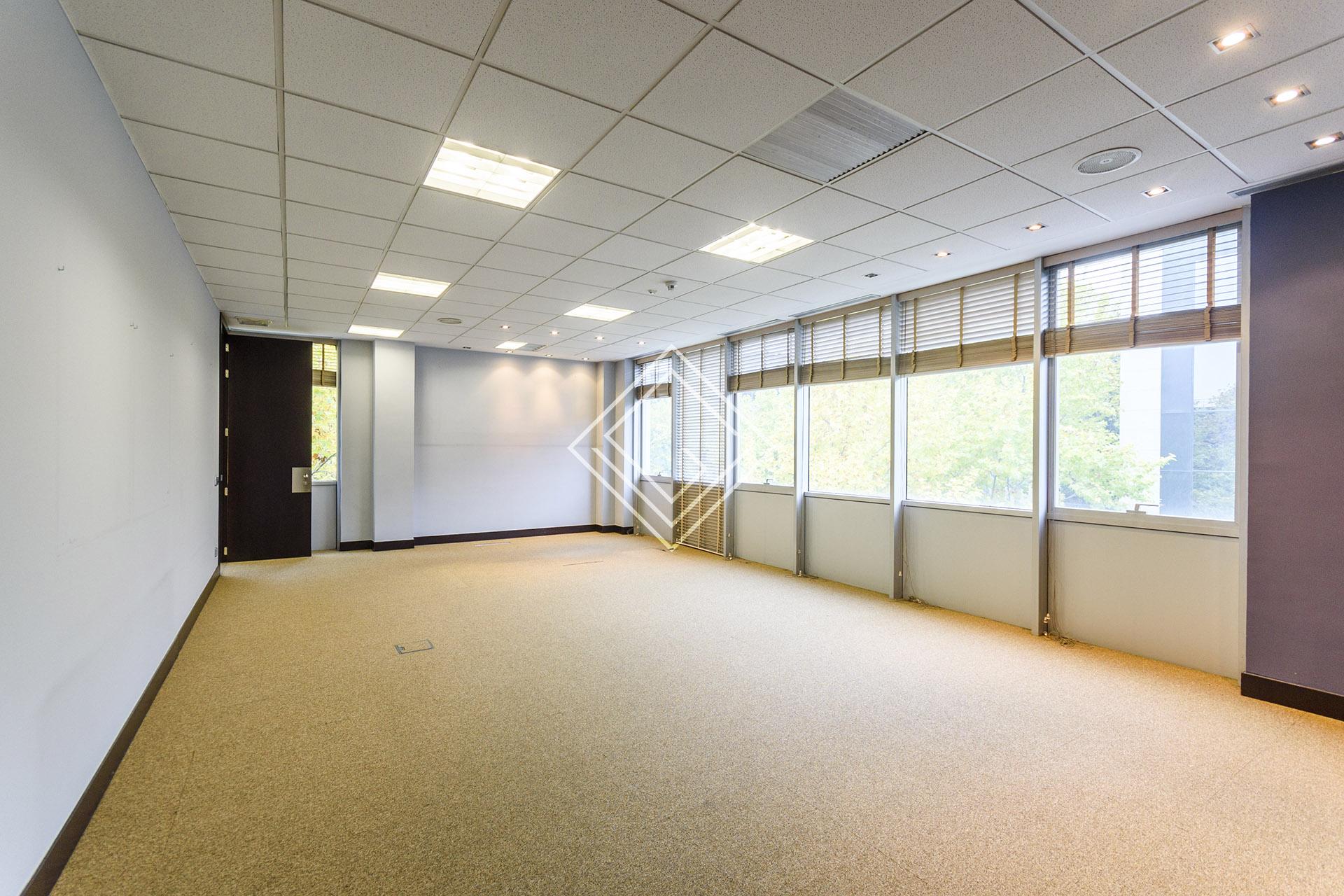 Imagen 38 de la propiedad