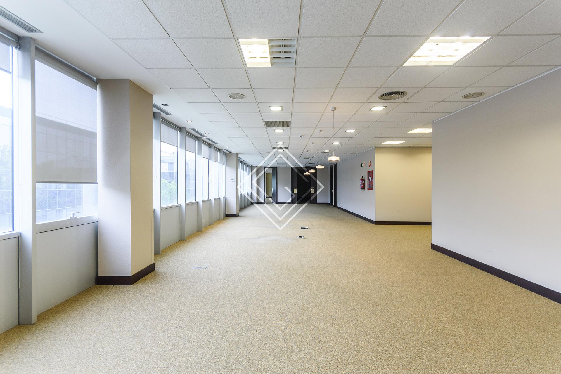 Imagen 37 de la propiedad