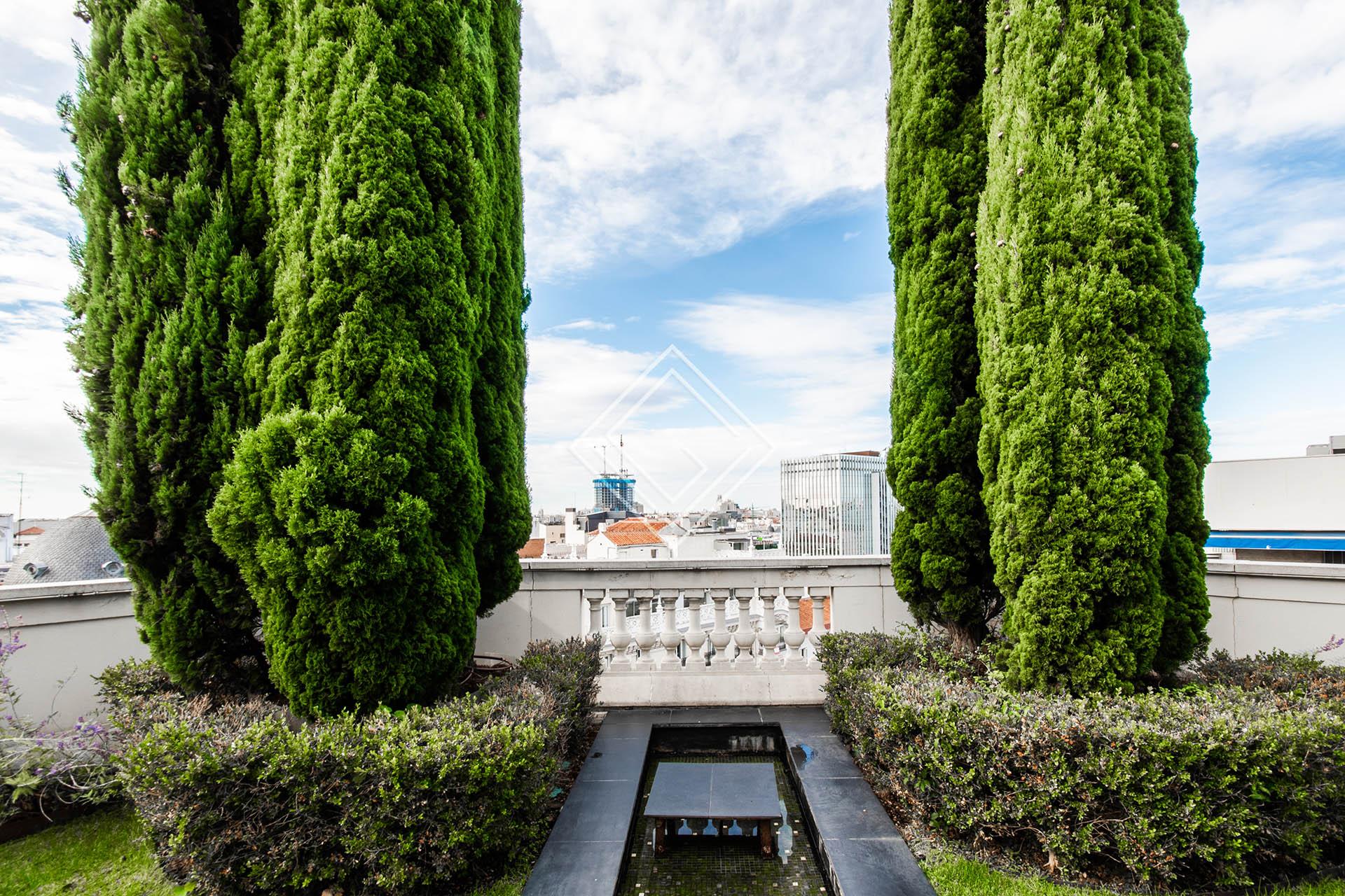 Imagen 48 de la propiedad