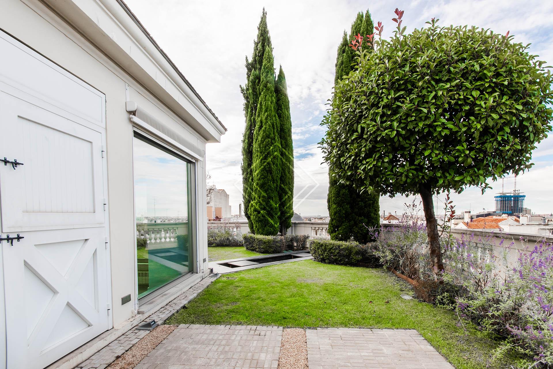 Imagen 45 de la propiedad