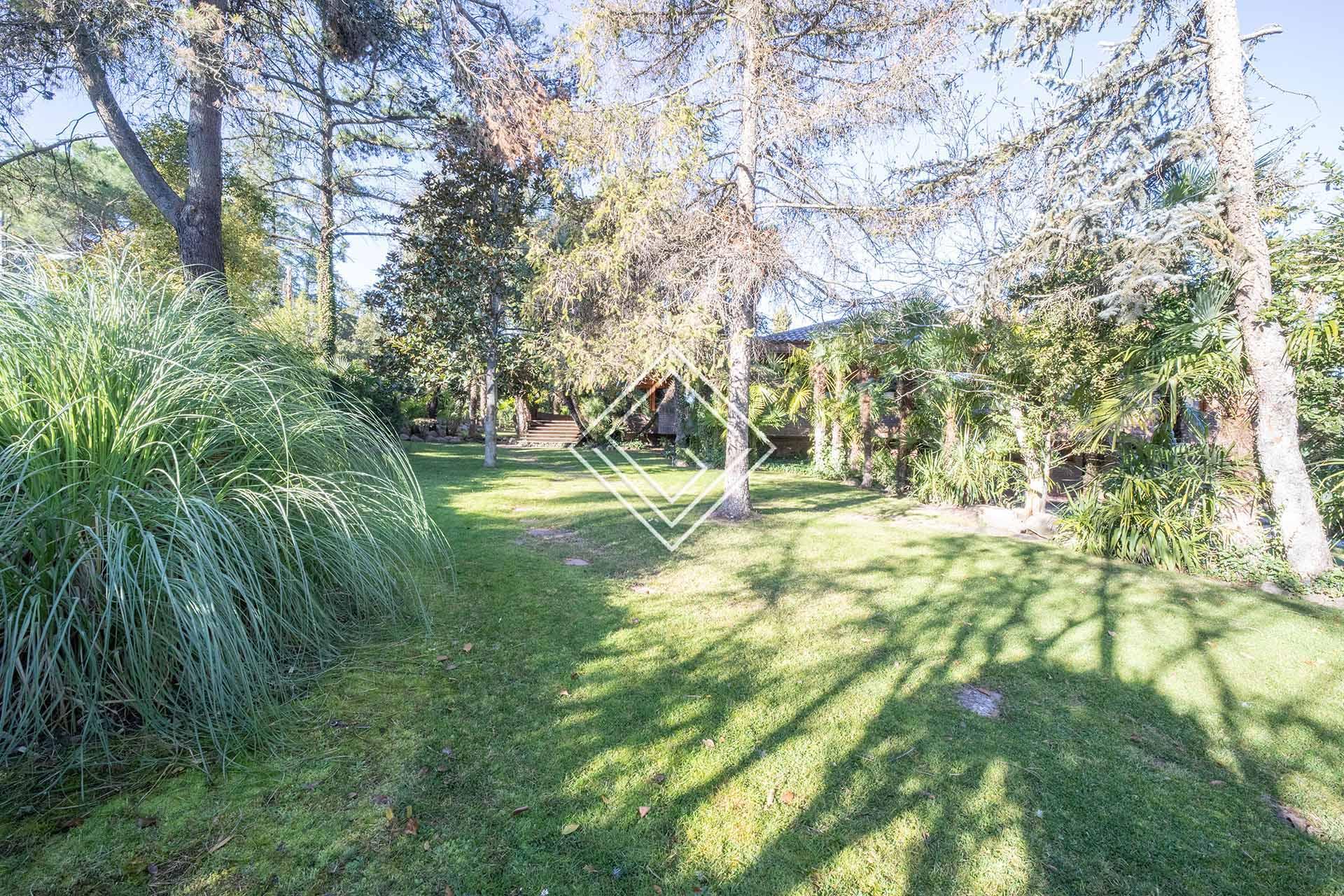 Imagen 5 de la propiedad