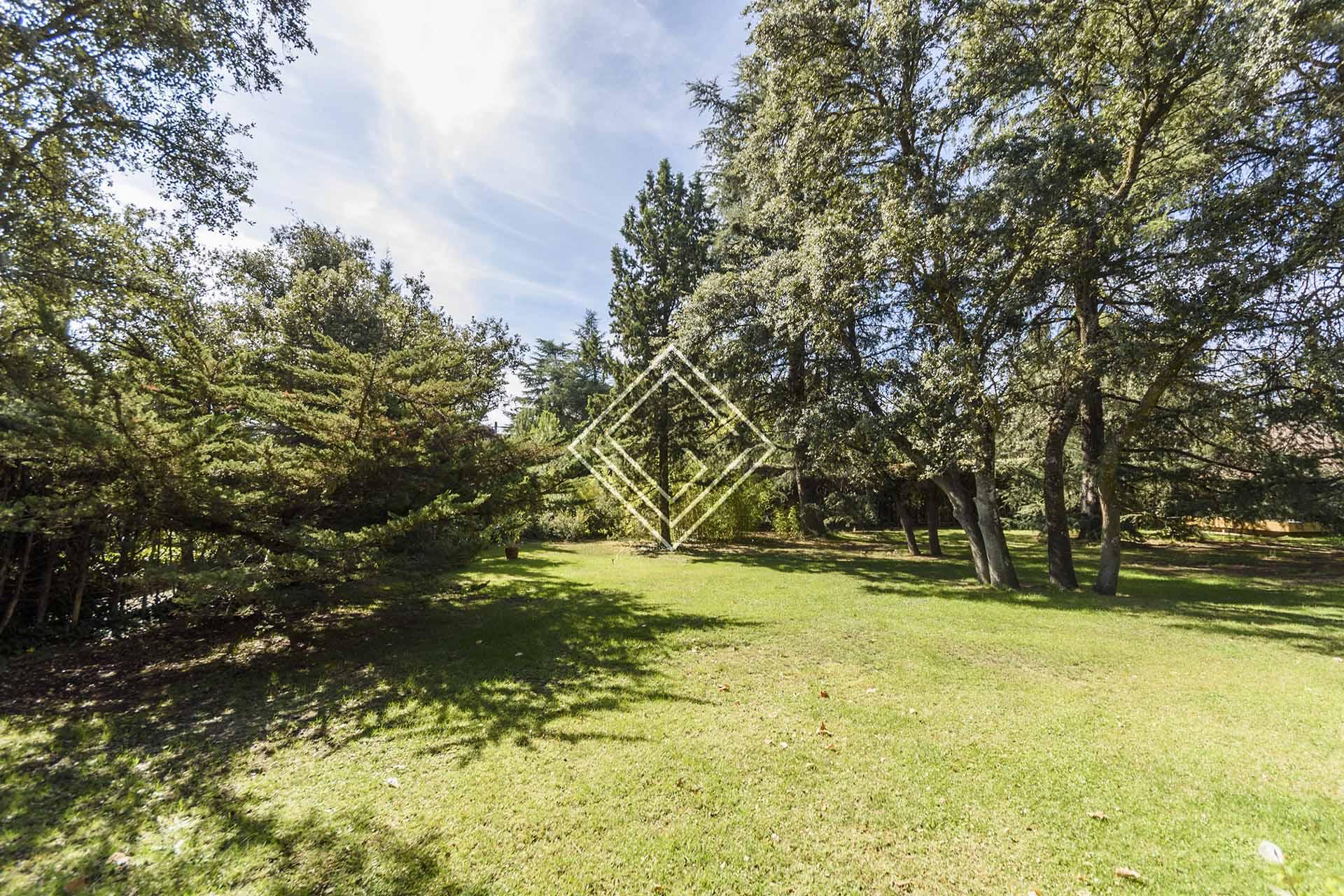 Imagen 23 de la propiedad