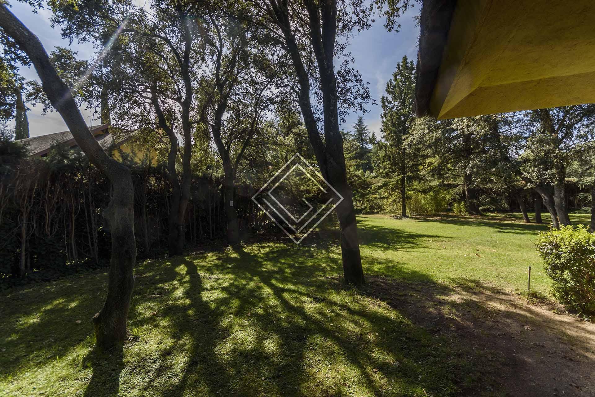 Imagen 22 de la propiedad