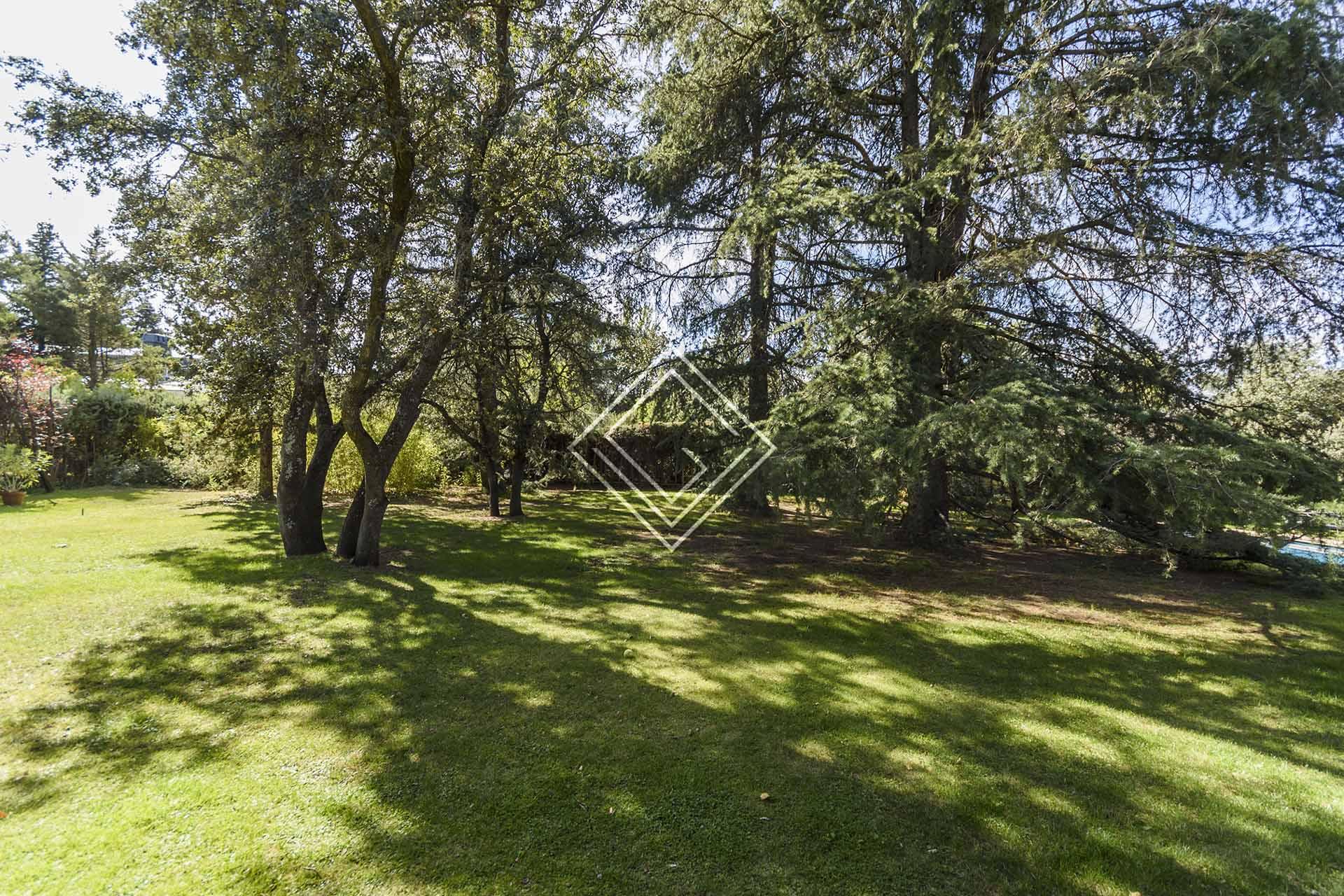 Imagen 26 de la propiedad