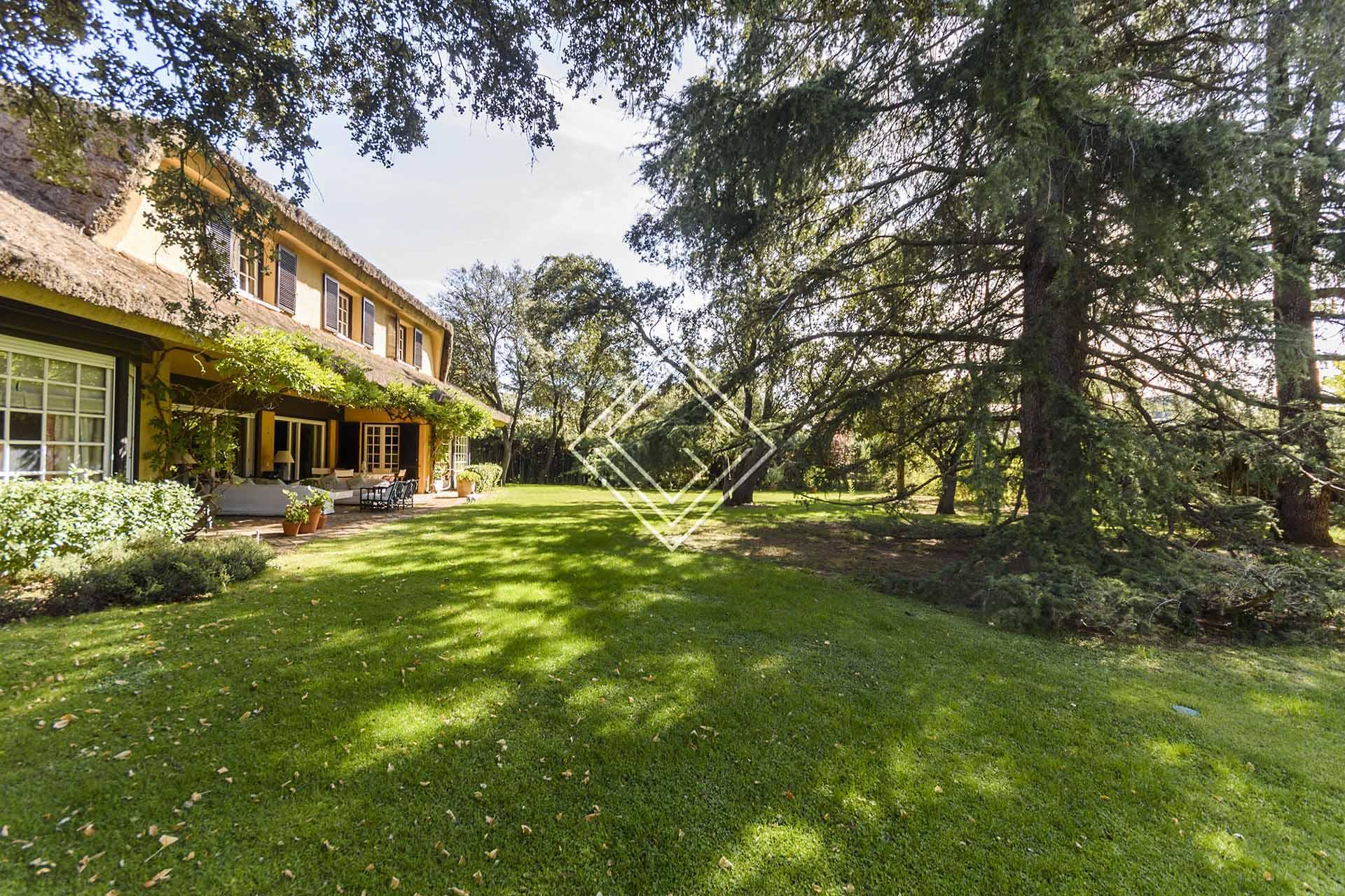 Imagen 35 de la propiedad