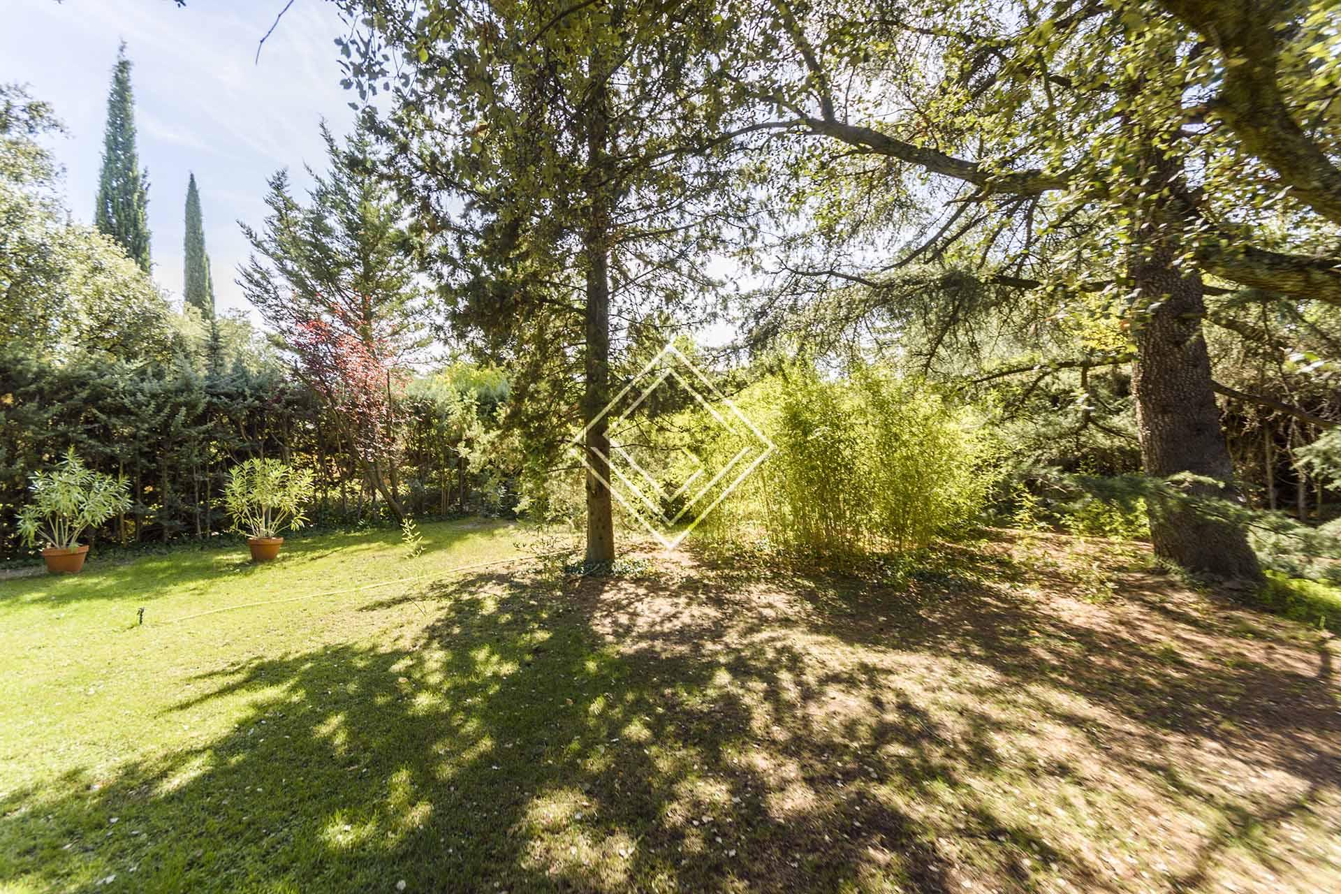 Imagen 37 de la propiedad