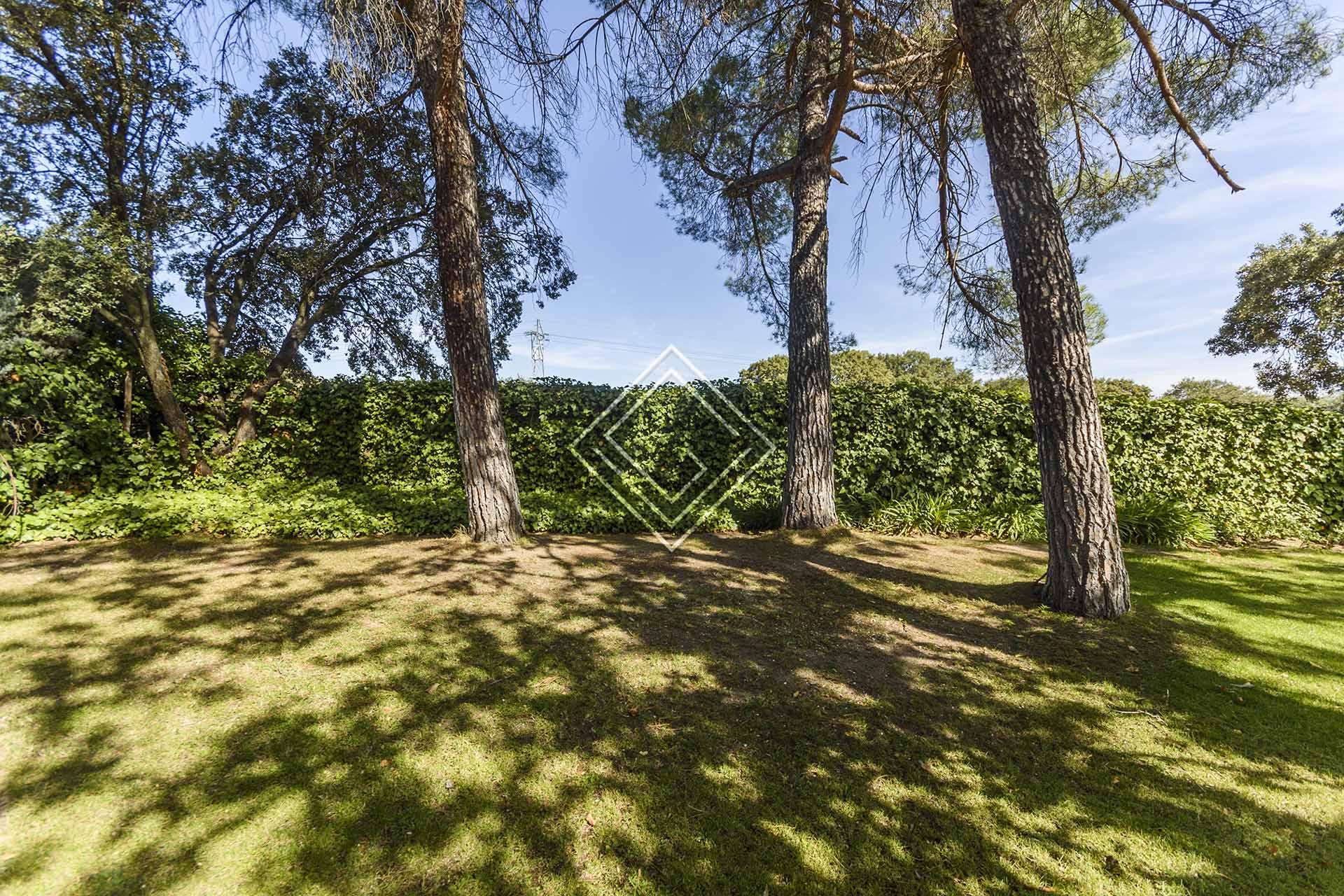 Imagen 46 de la propiedad