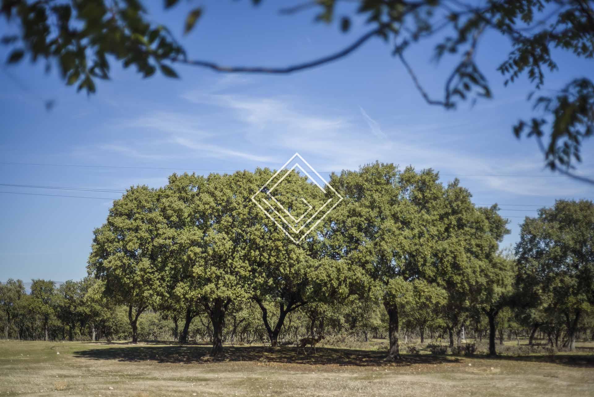 Imagen 54 de la propiedad