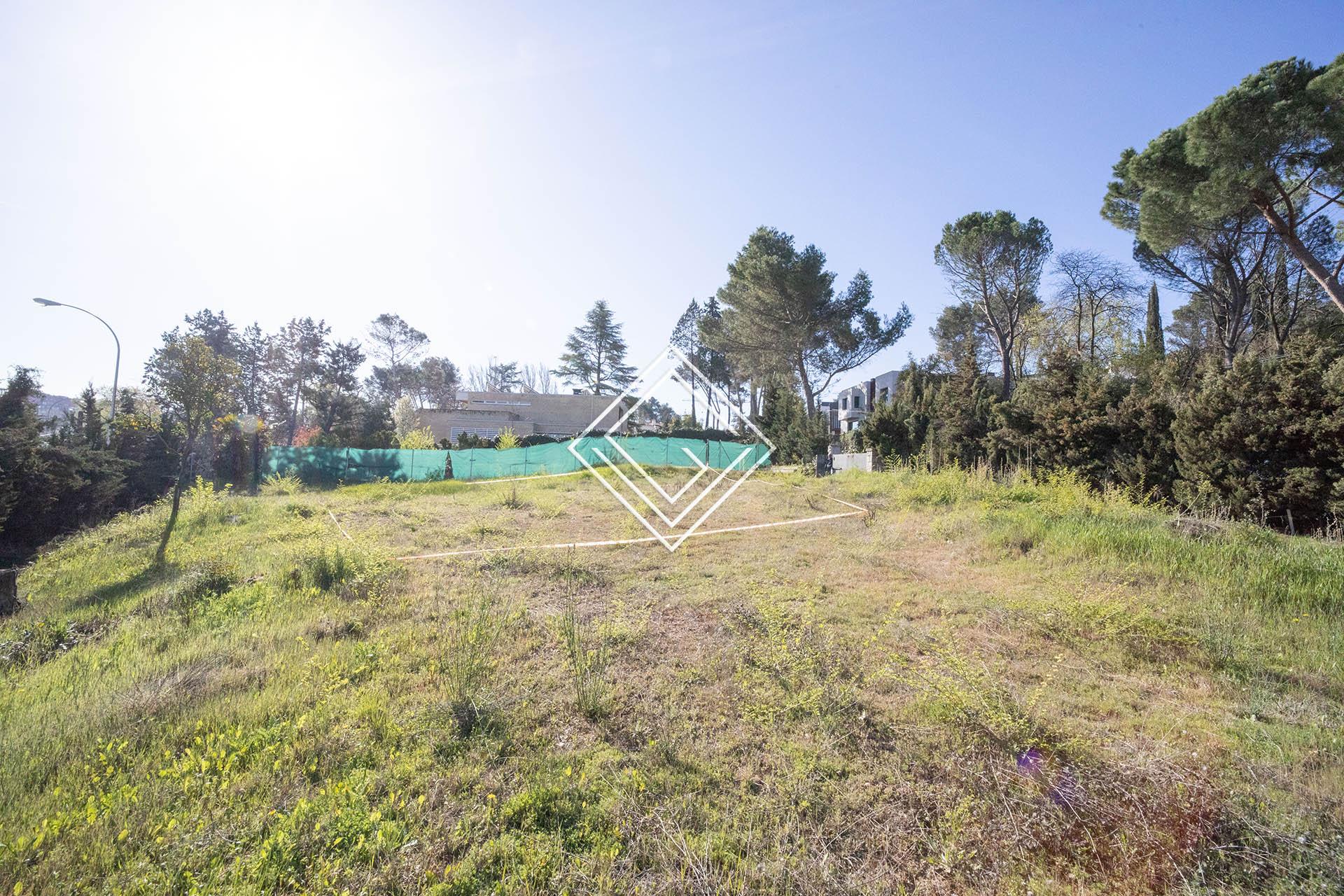 Imagen 5 de la propiedad