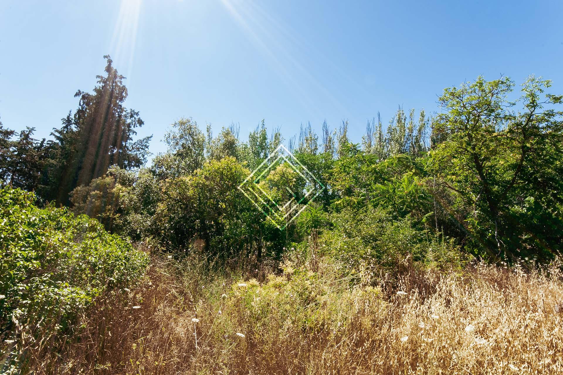 Imagen 12 de la propiedad