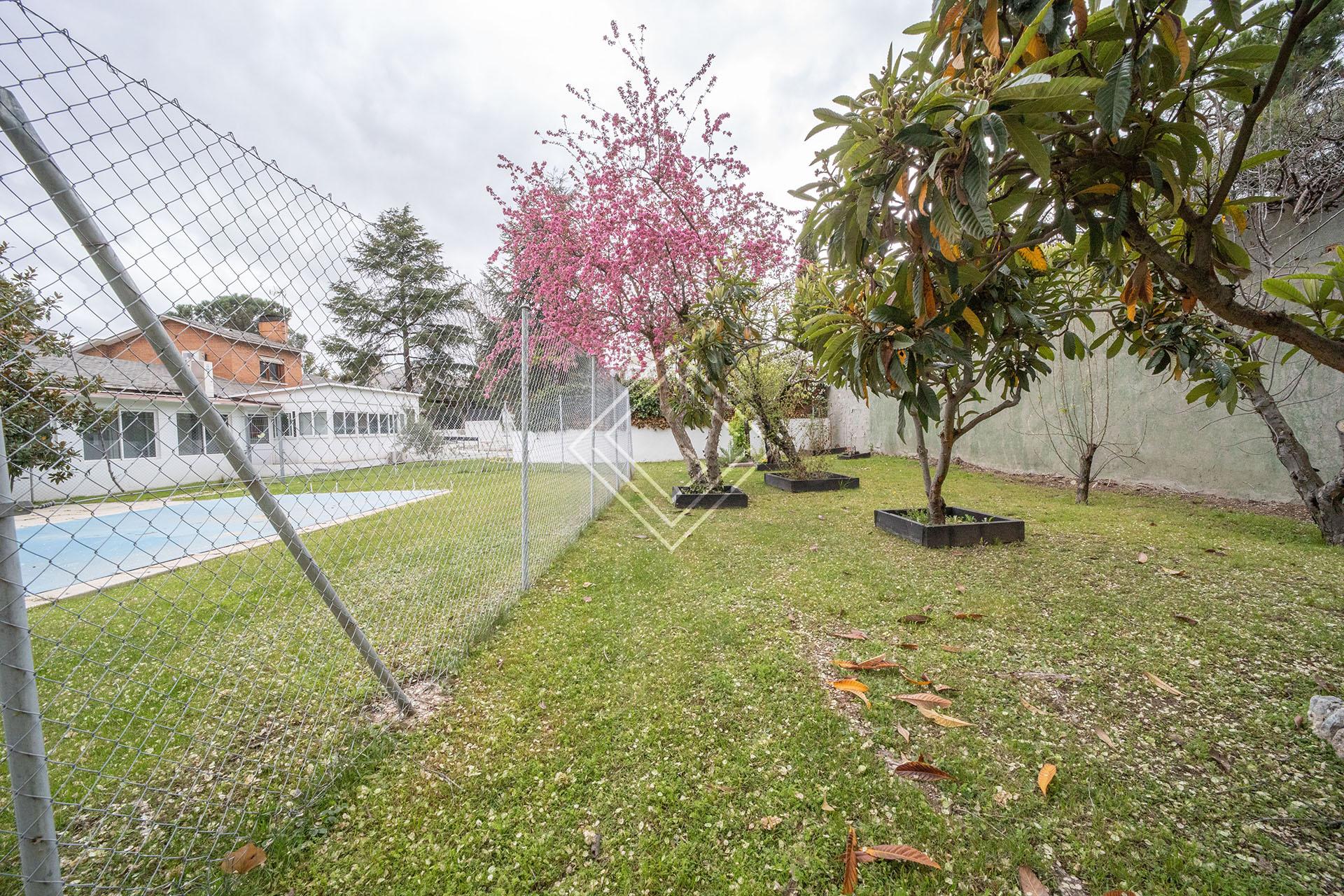 Imagen 4 de la propiedad