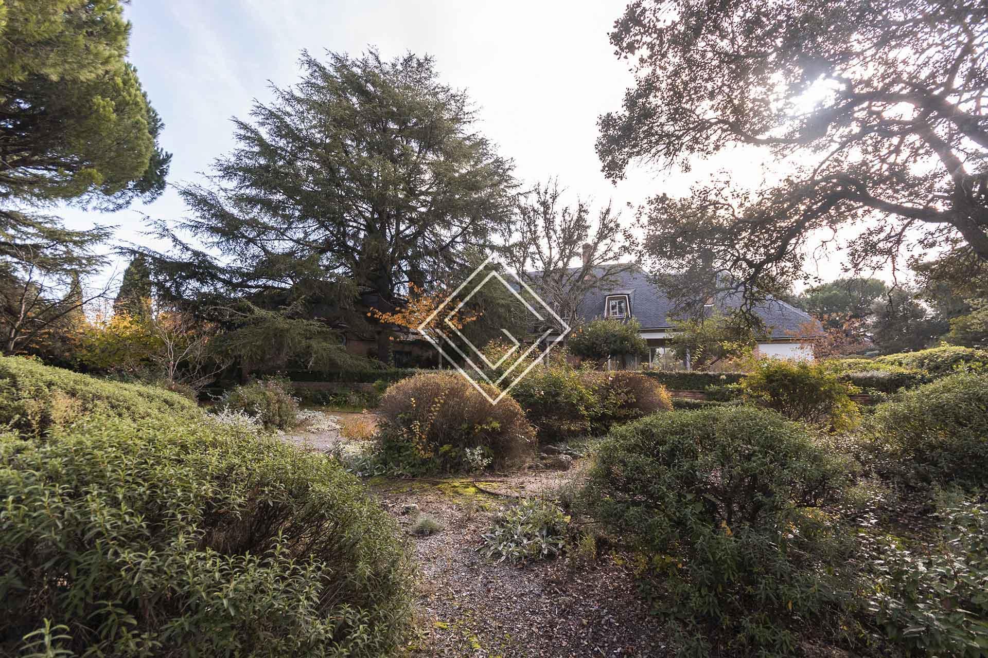 Imagen 15 de la propiedad