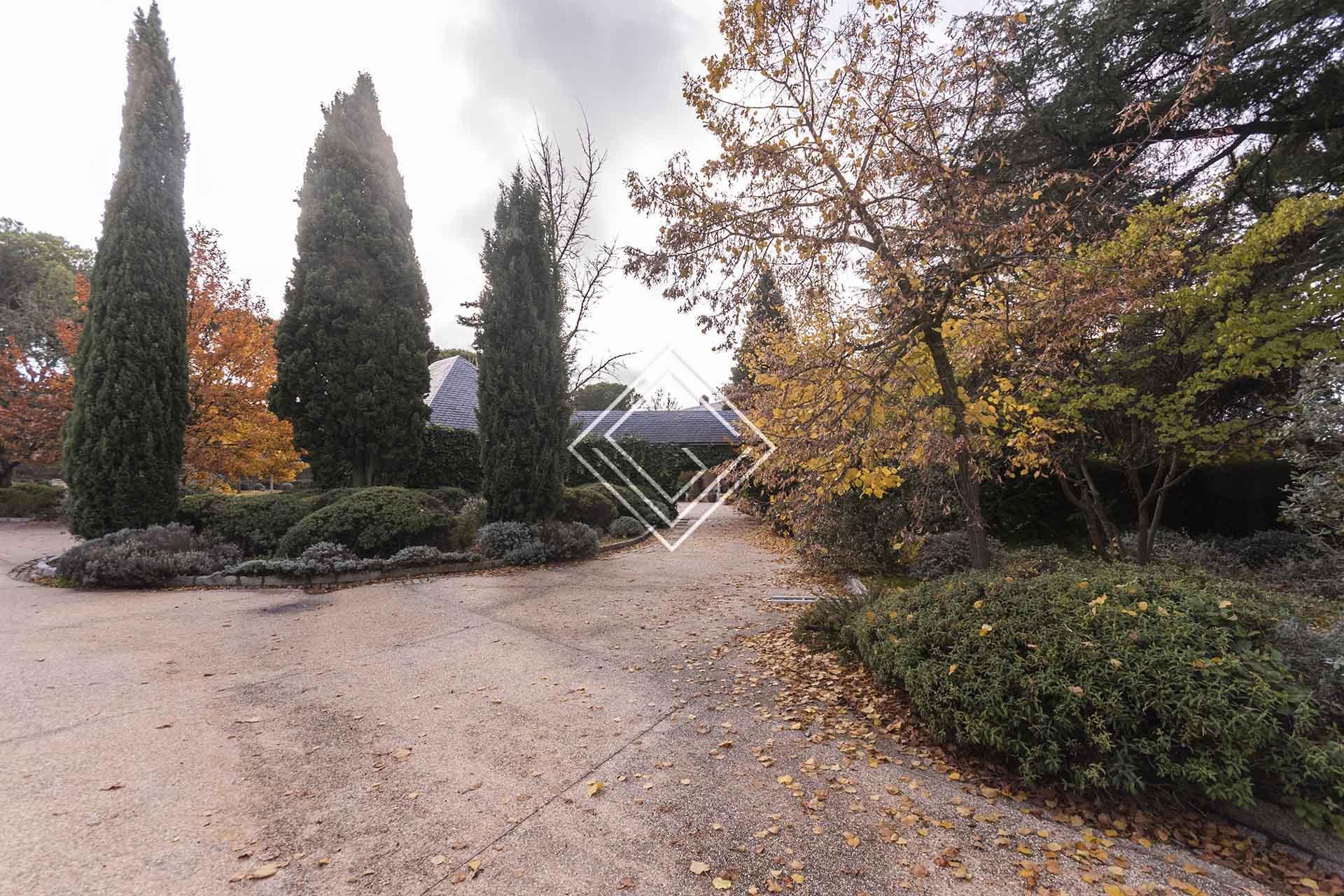 Imagen 9 de la propiedad