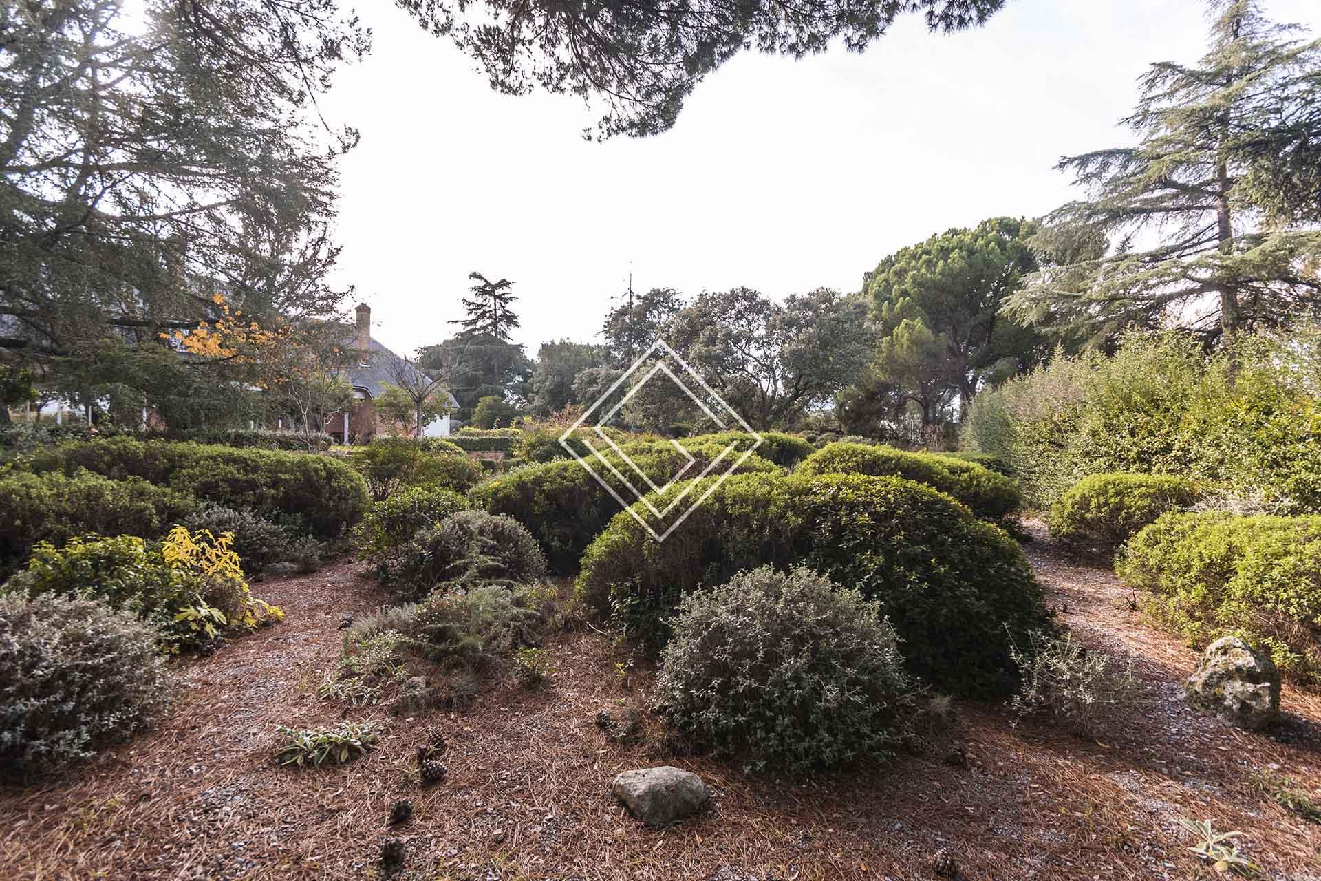 Imagen 13 de la propiedad