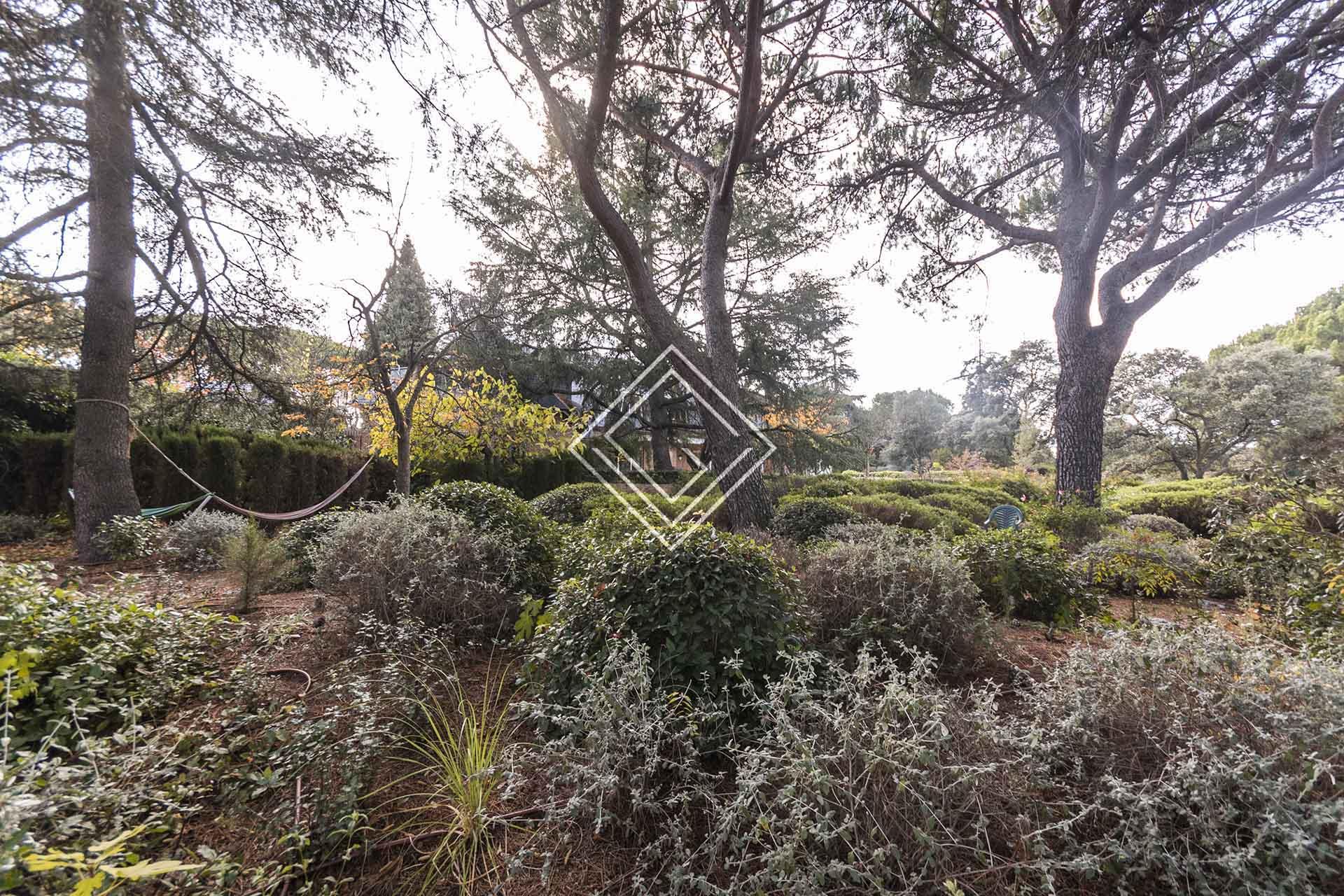 Imagen 12 de la propiedad