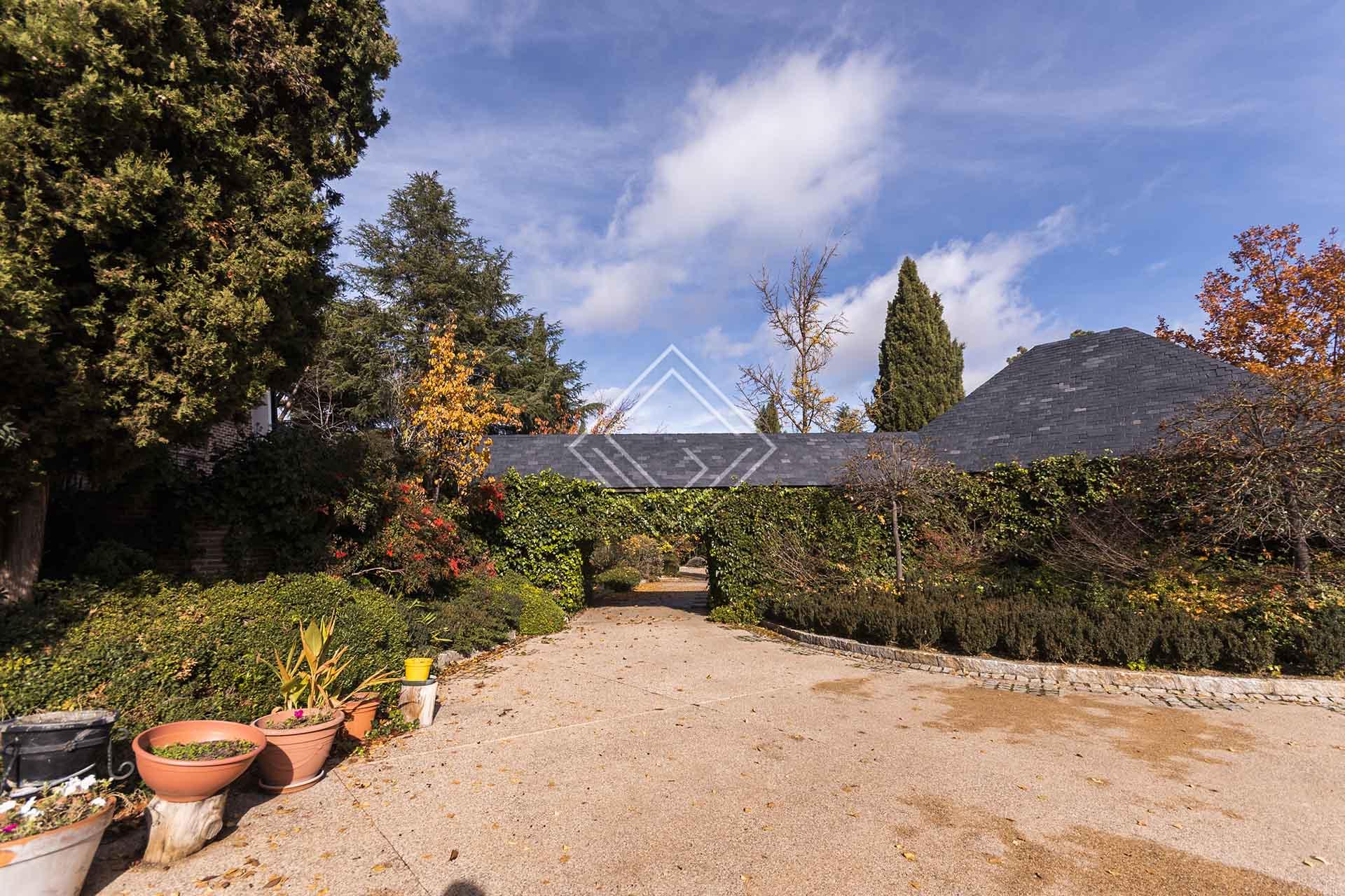 Imagen 39 de la propiedad