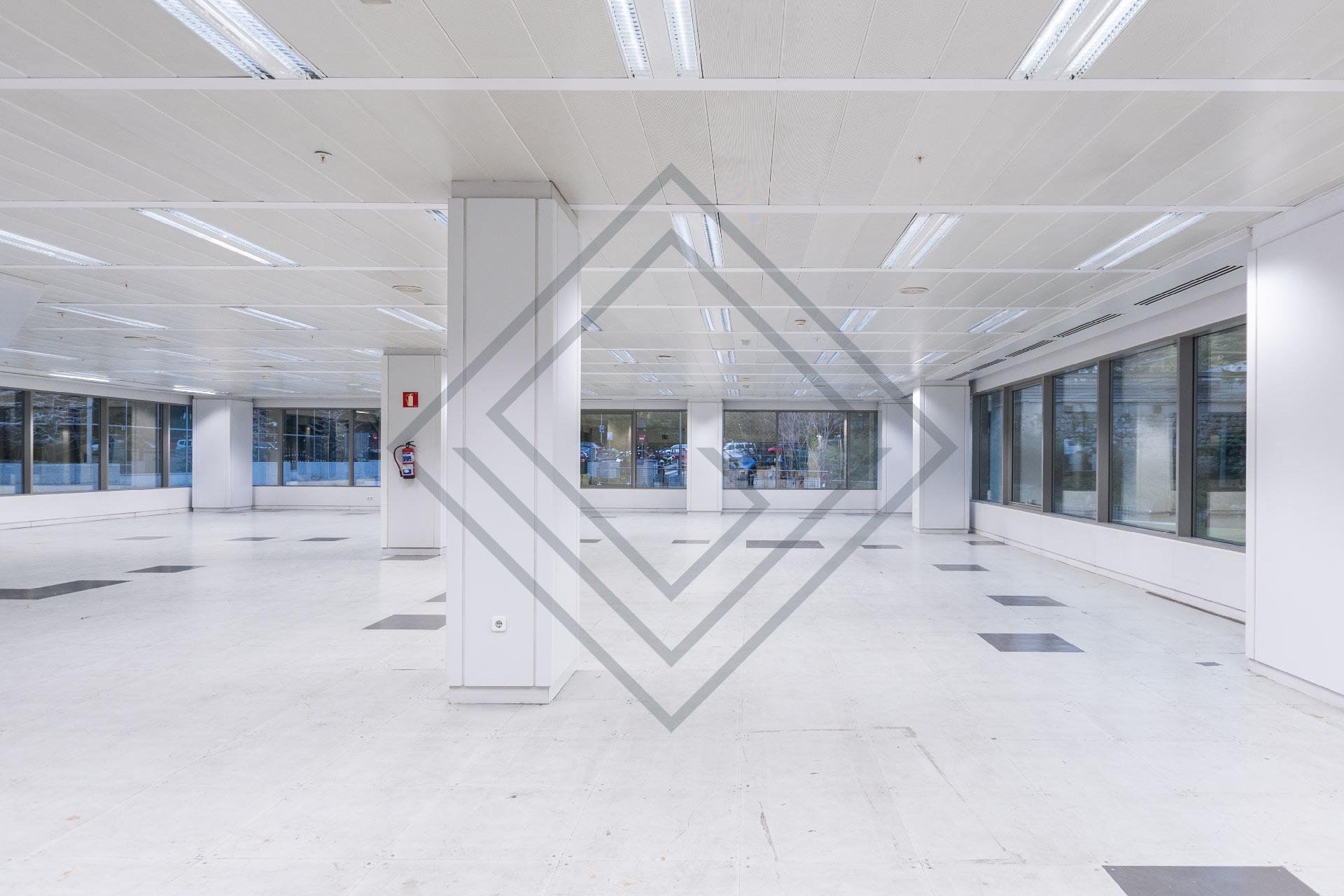 Imagen 11 de la propiedad