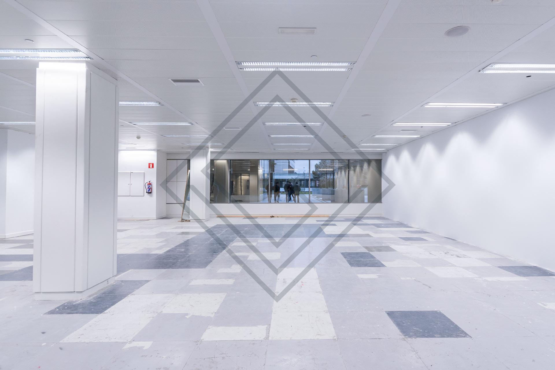 Imagen 30 de la propiedad