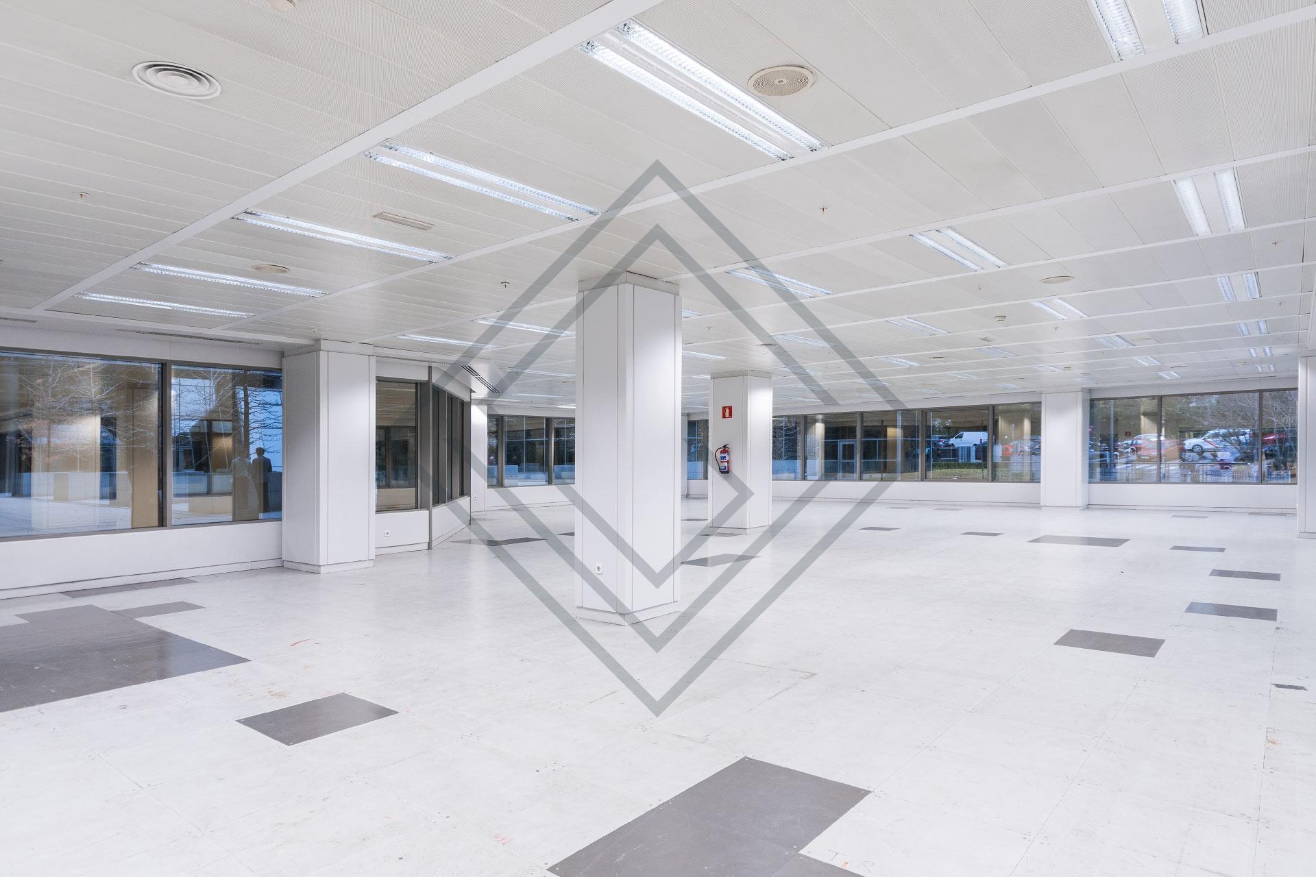 Imagen 10 de la propiedad