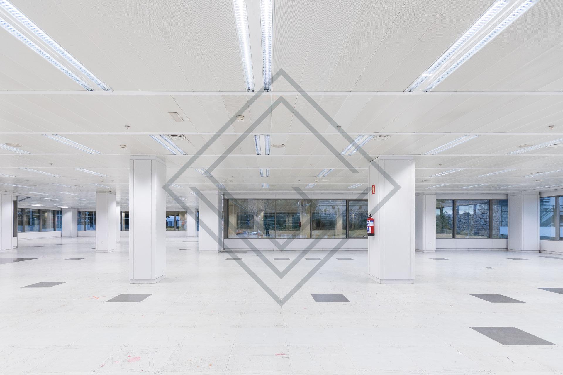 Imagen 4 de la propiedad