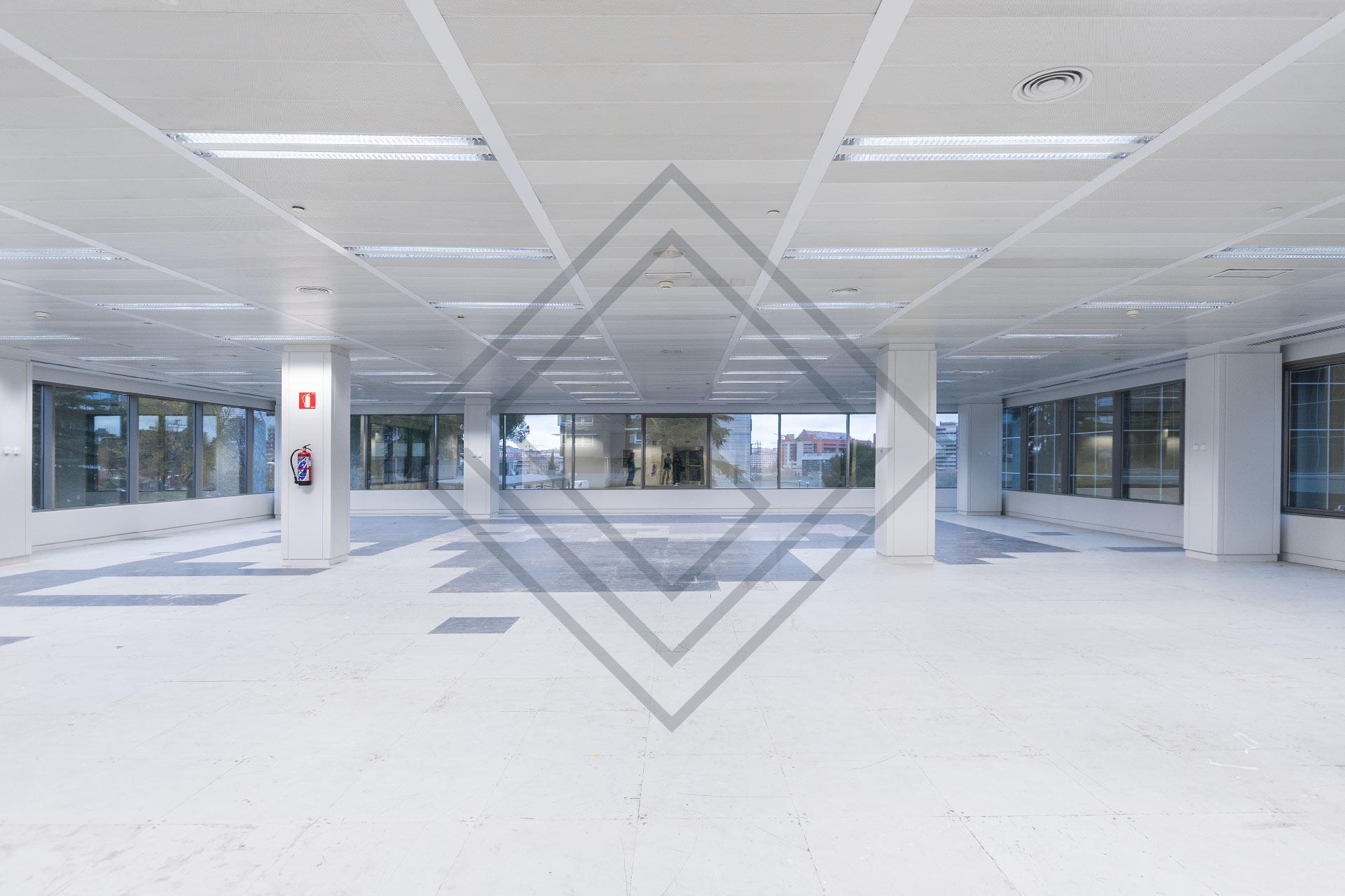 Imagen 17 de la propiedad