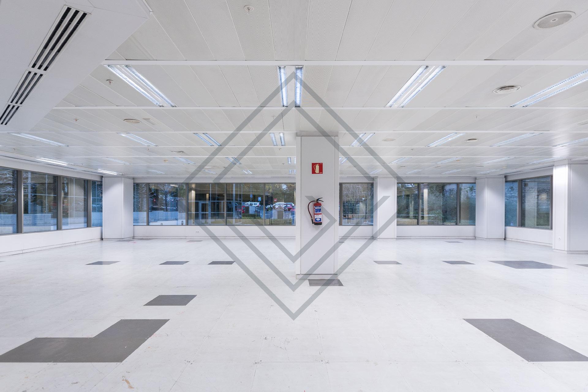 Imagen 11 de la propiedad