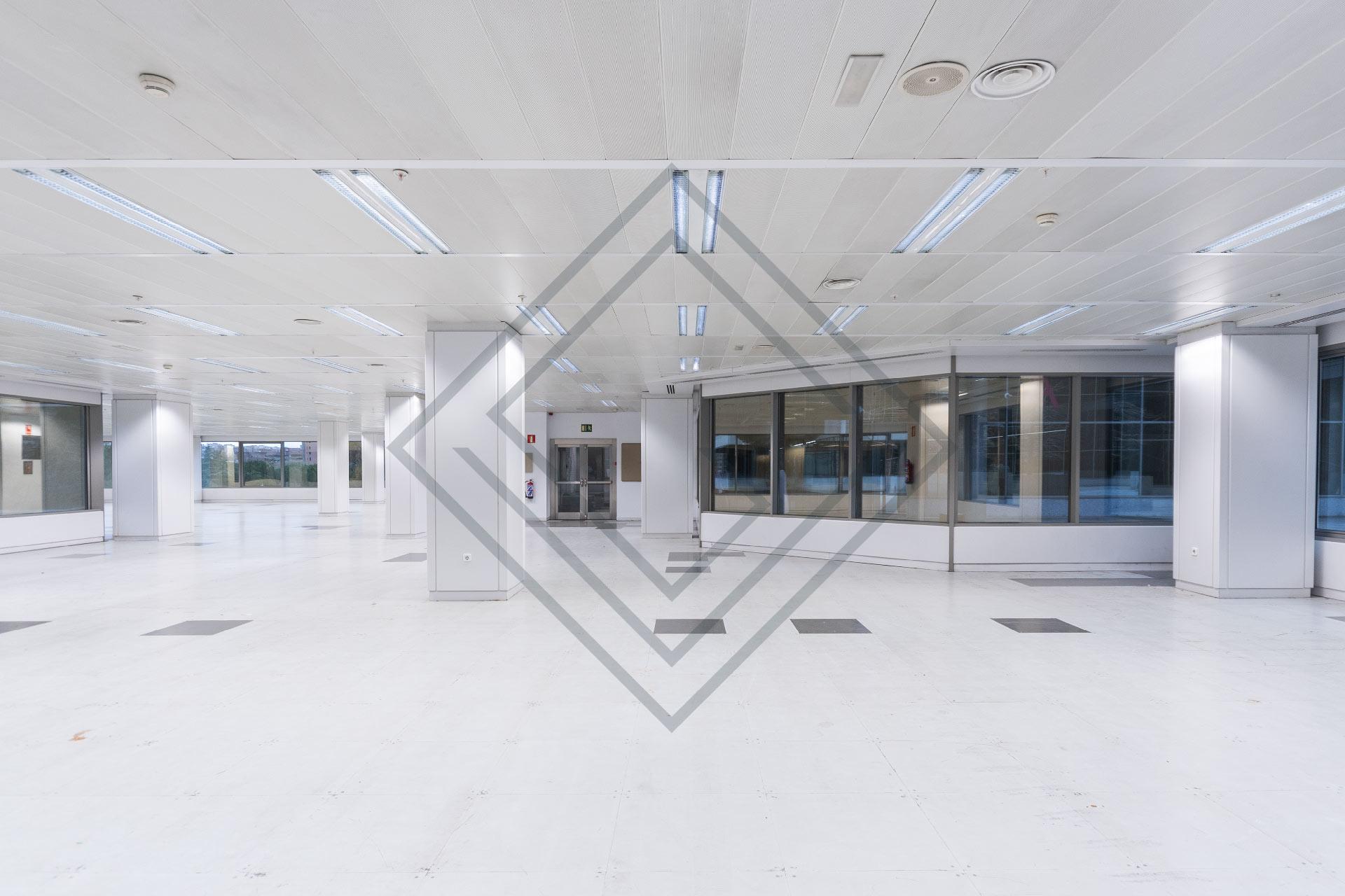 Imagen 15 de la propiedad