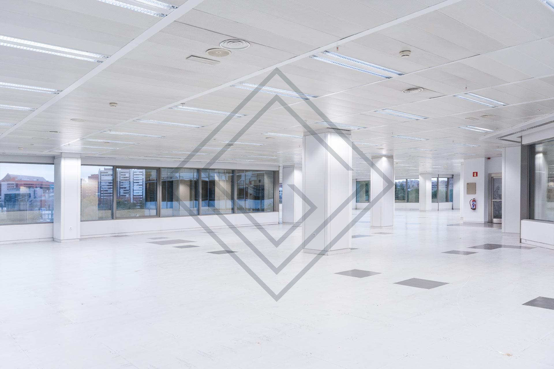 Imagen 13 de la propiedad