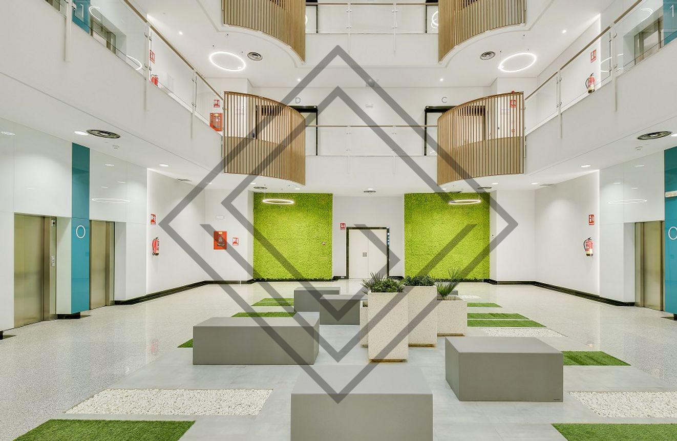 Imagen 10 de la propiedad