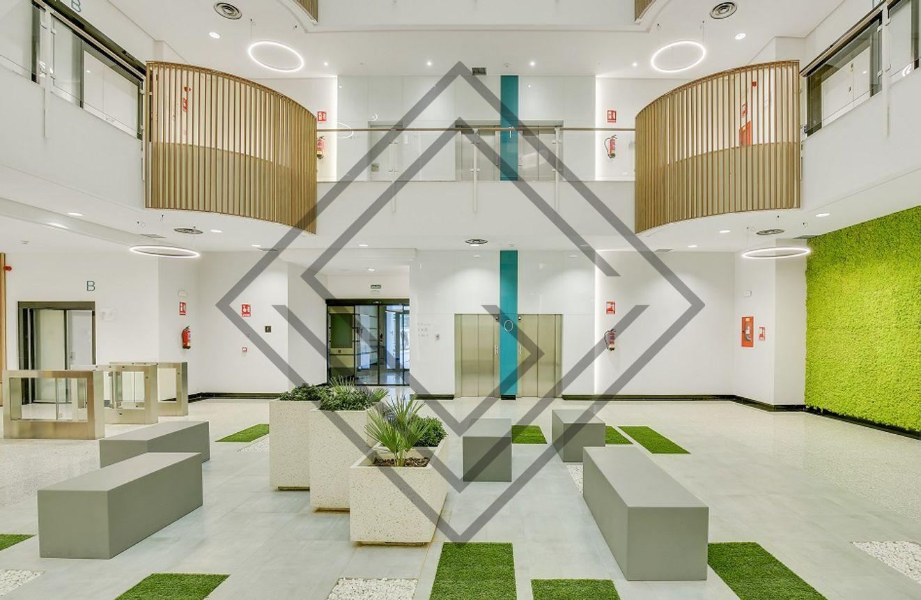 Imagen 11 de la propiedad