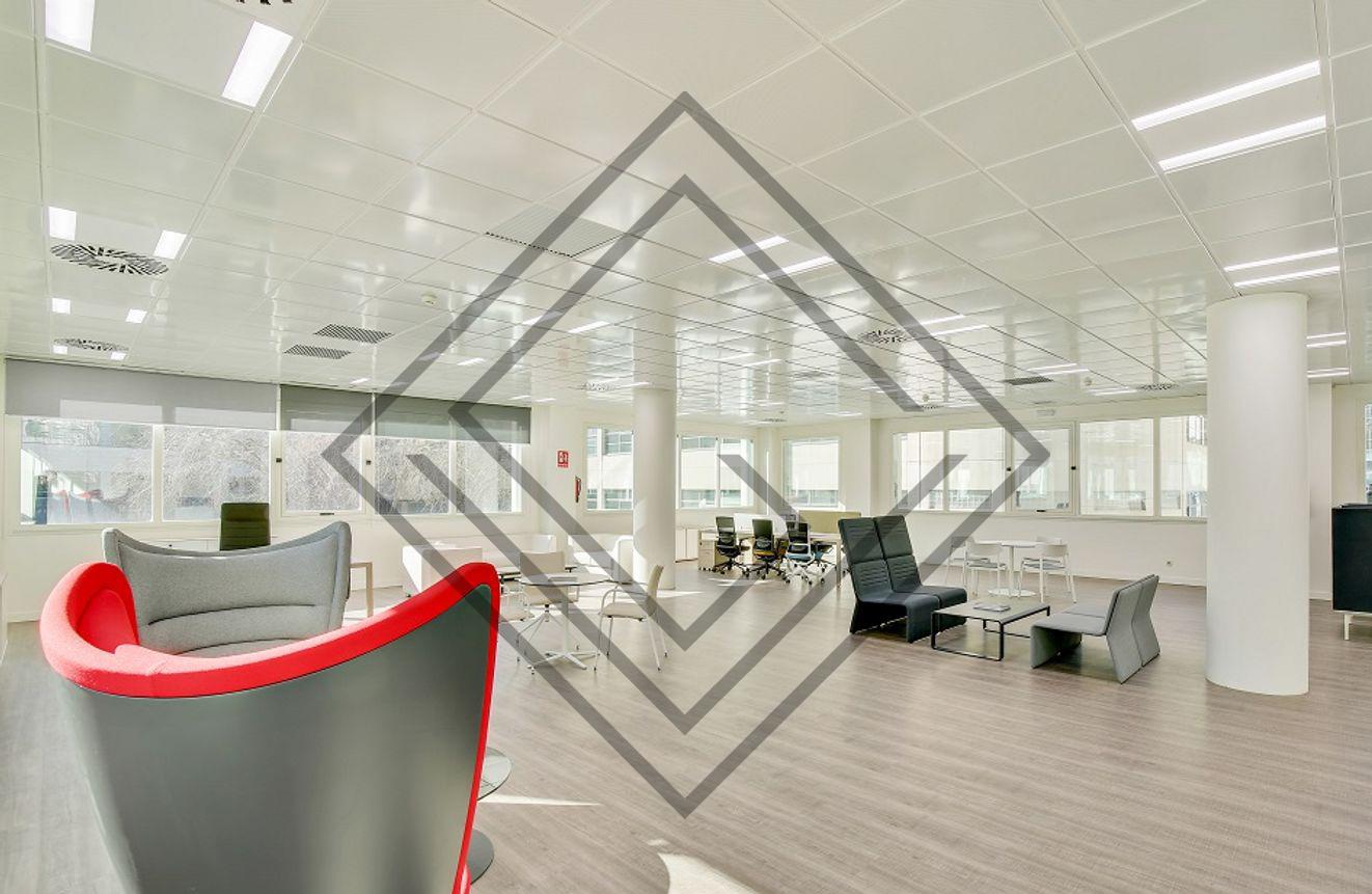 Imagen 5 de la propiedad