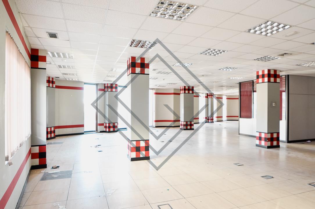 Imagen 8 de la propiedad