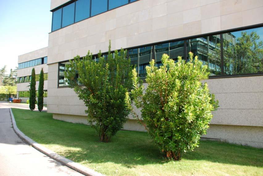 Imagen 19 de la propiedad