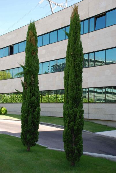 Imagen 3 de la propiedad