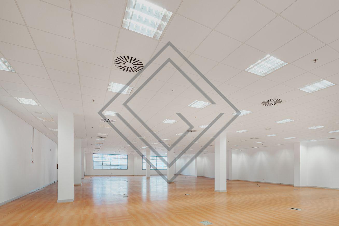 Imagen 17 de la propiedad