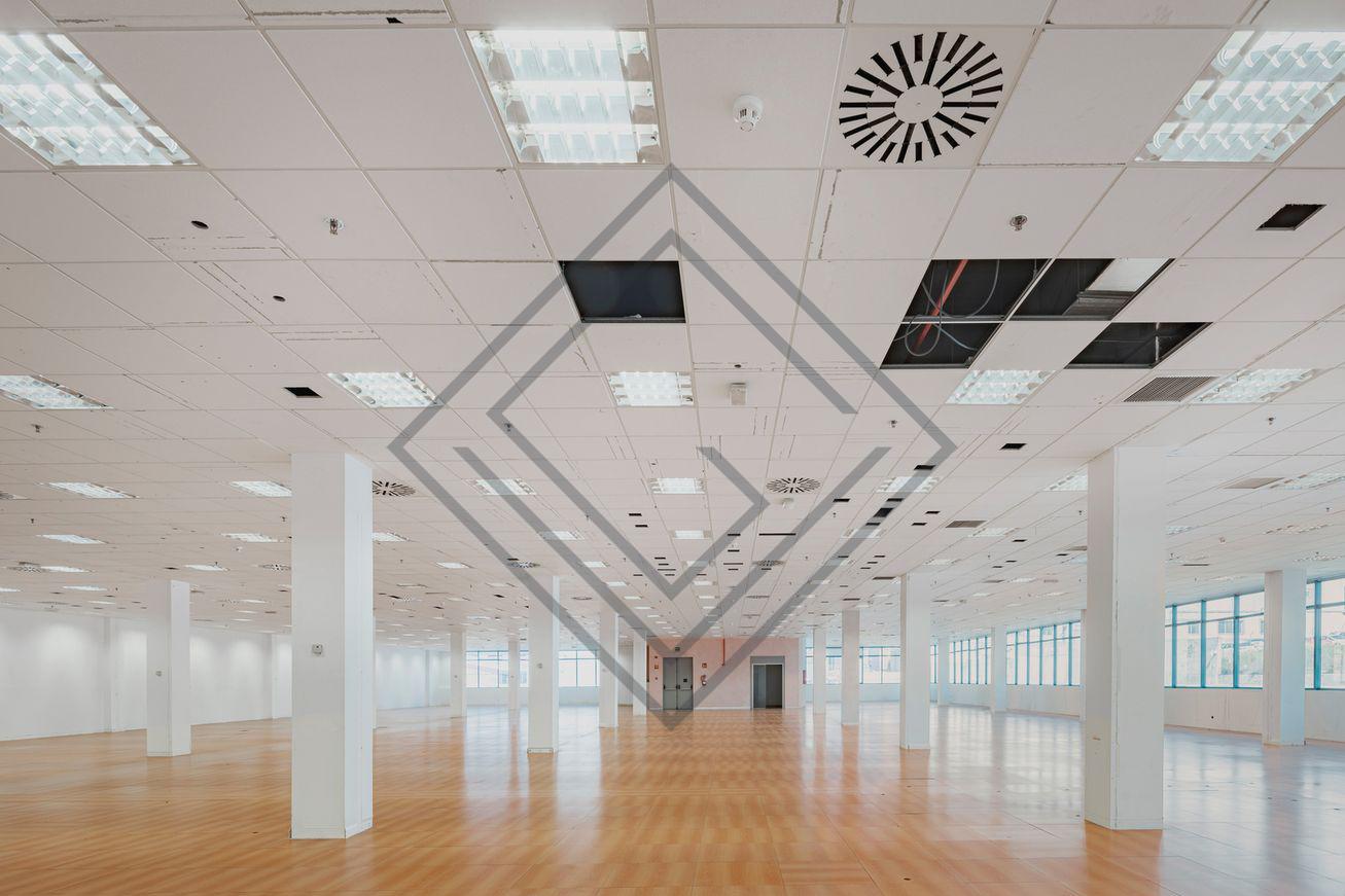 Imagen 13 de la propiedad