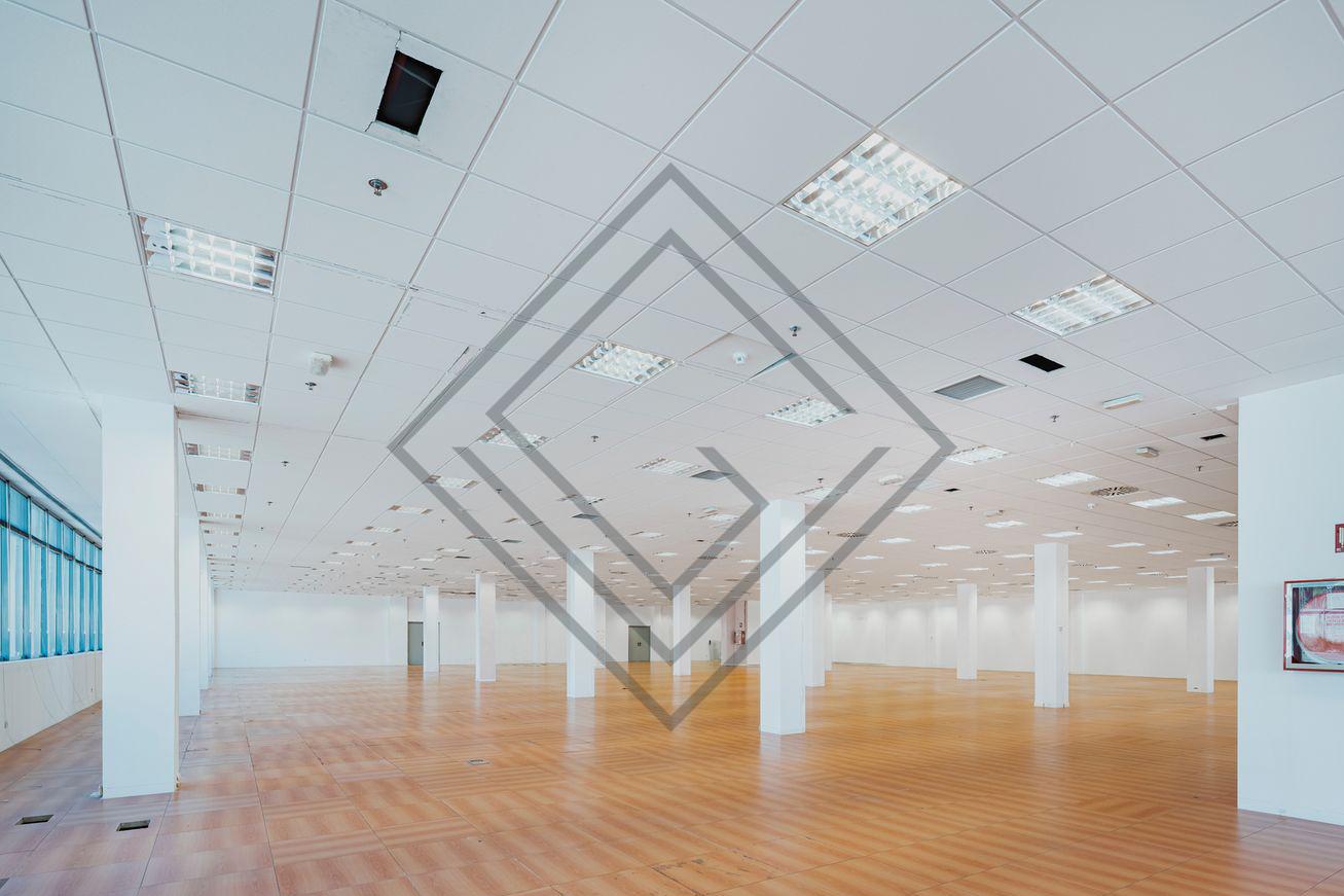 Imagen 14 de la propiedad