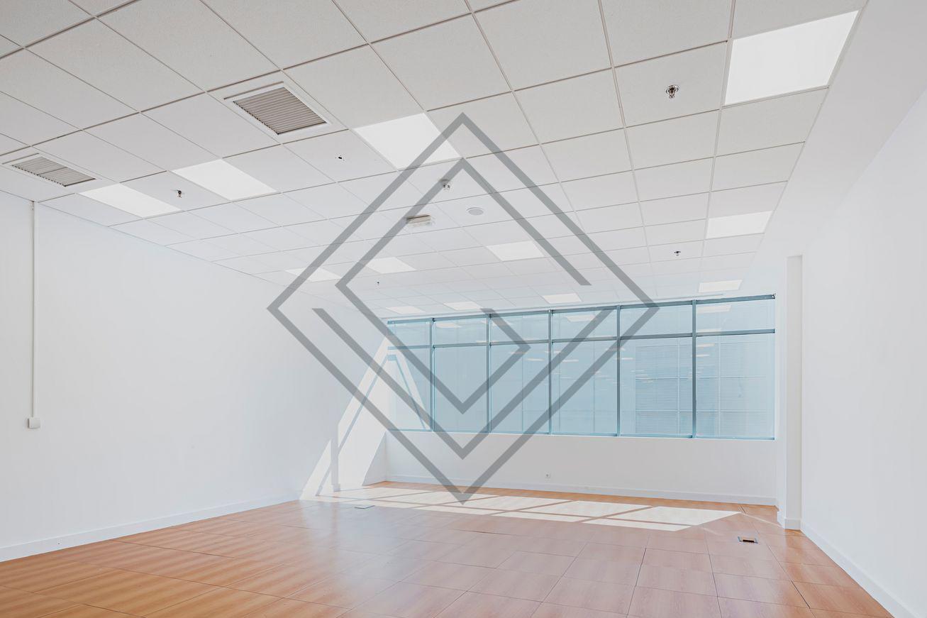 Imagen 12 de la propiedad