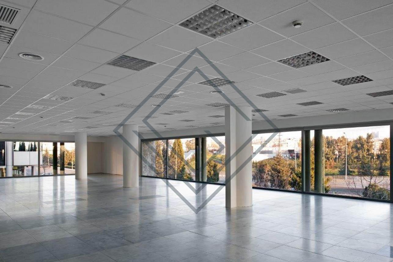 Imagen 18 de la propiedad