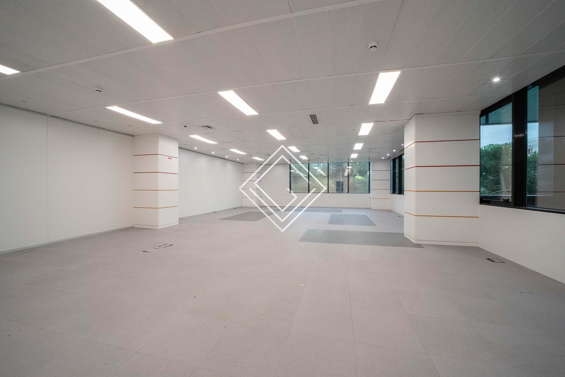 Imagen 12 de la propiedad