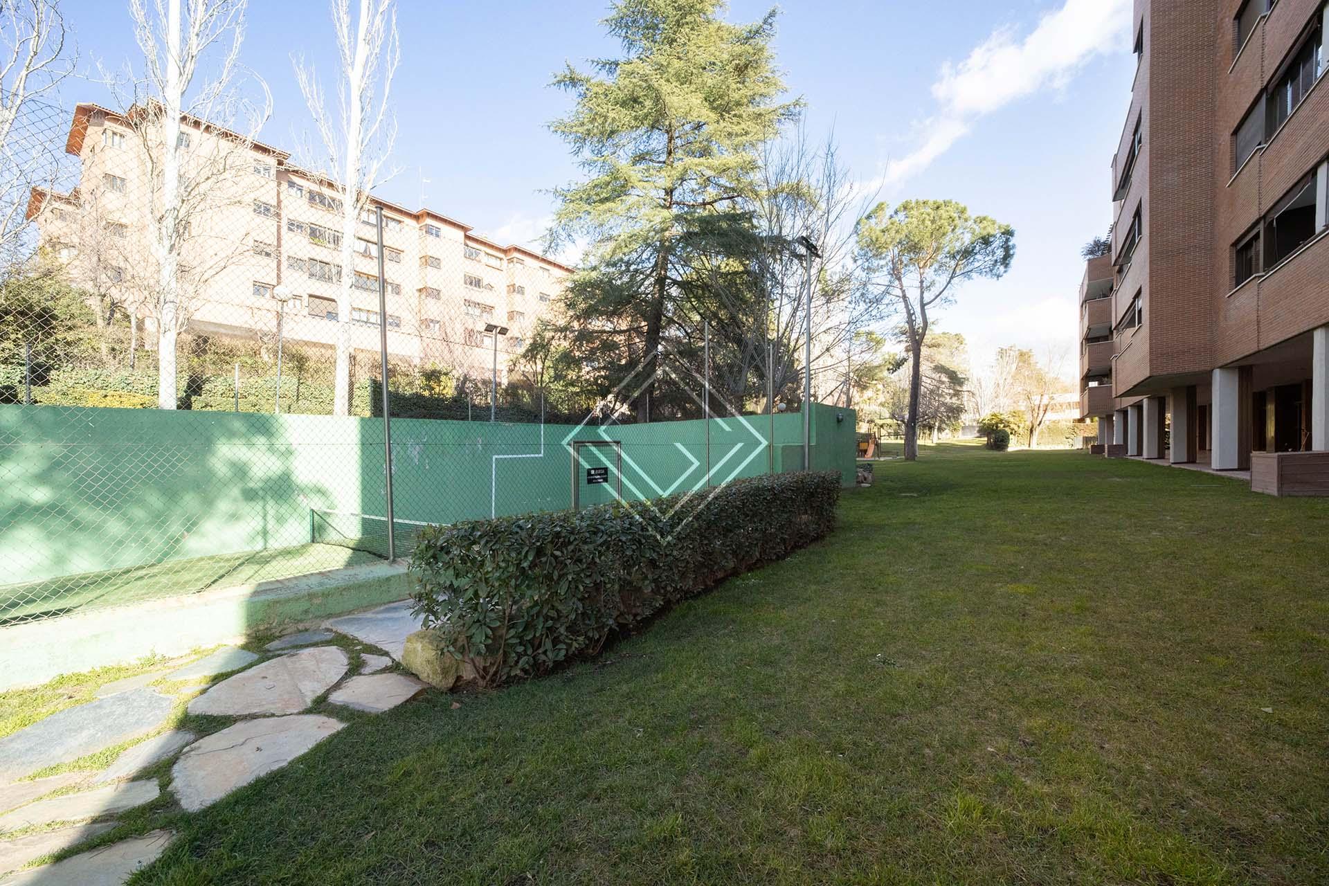 Imagen 36 de la propiedad