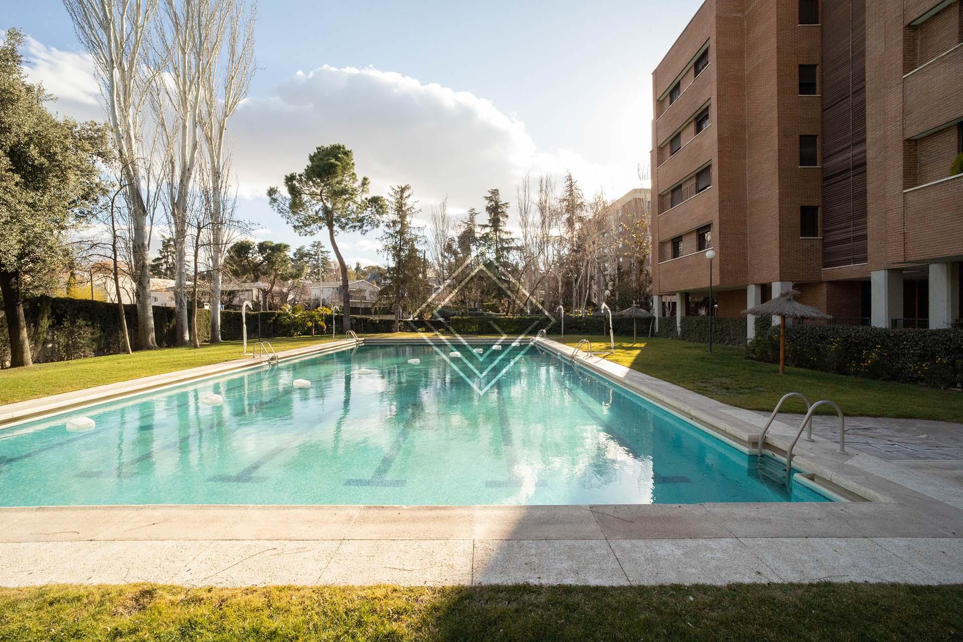 Imagen 33 de la propiedad